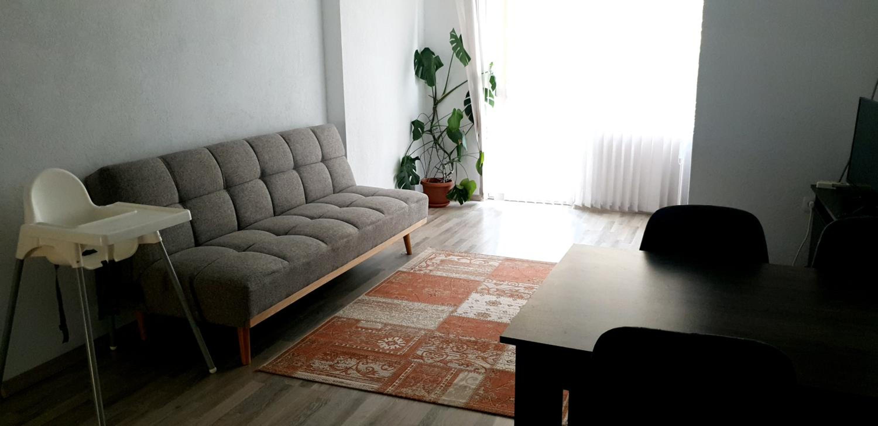 Borilov City Center Apartment