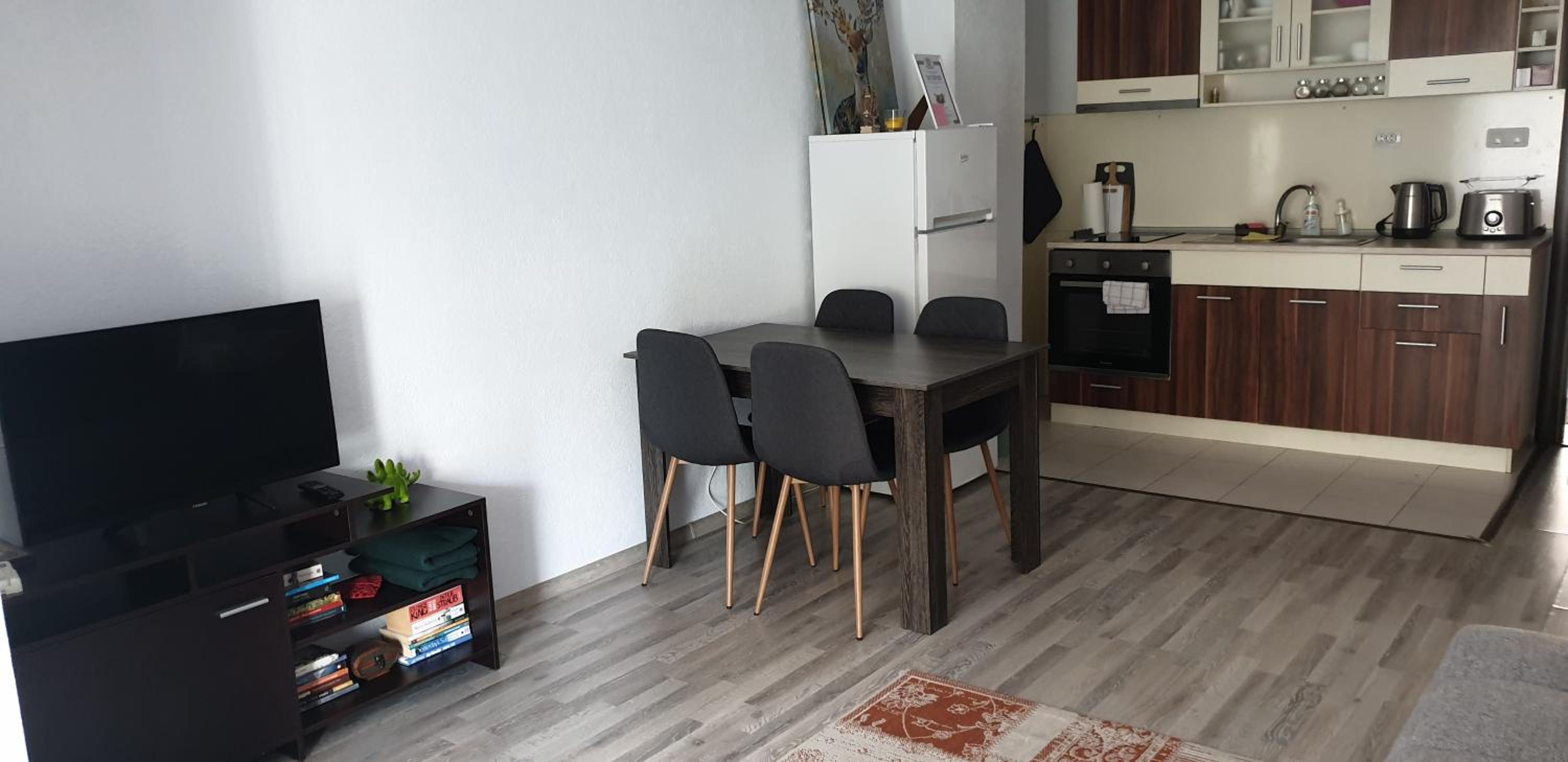 Borilov City Center Apartment