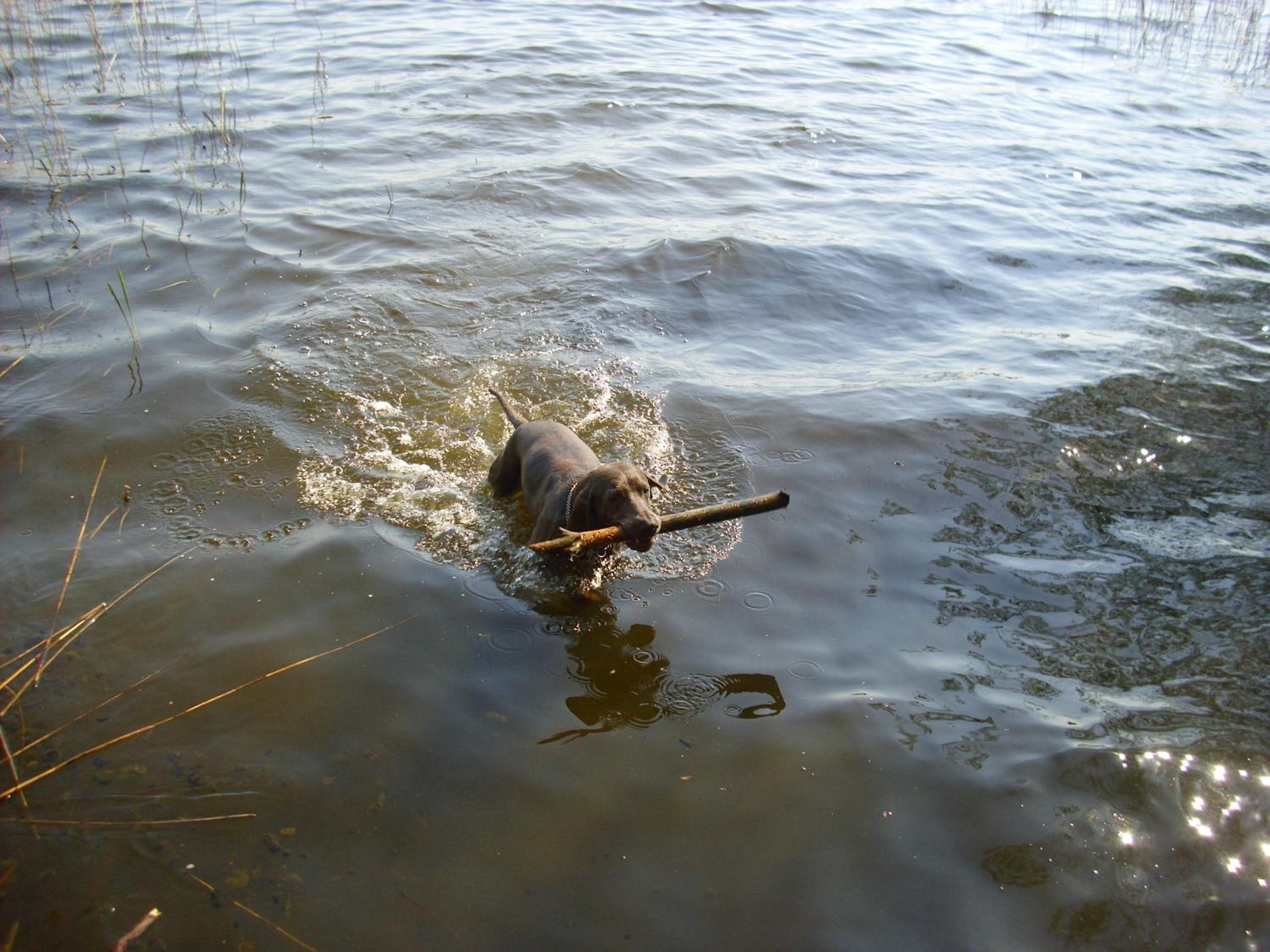 Photo 24