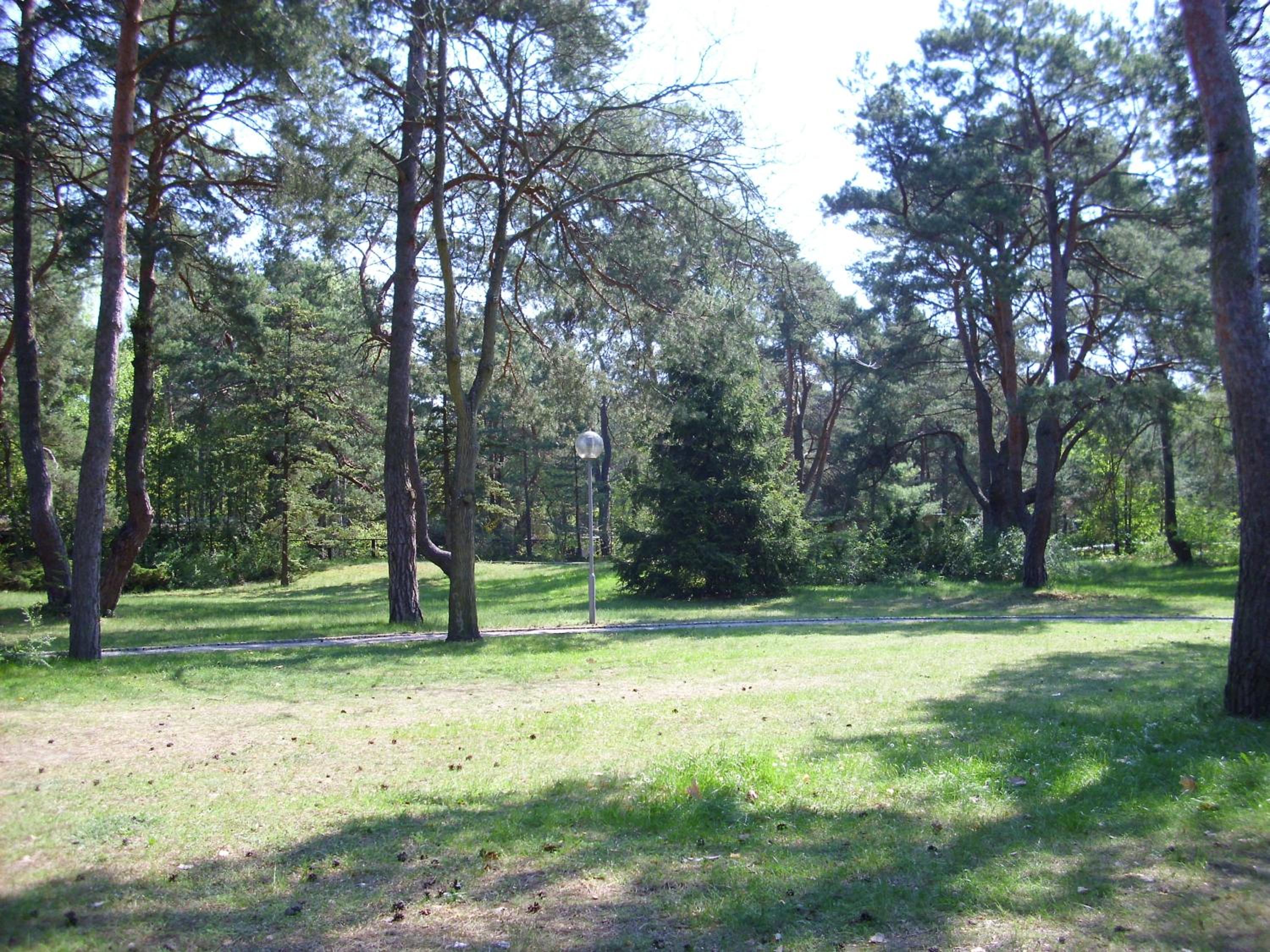 Photo 32