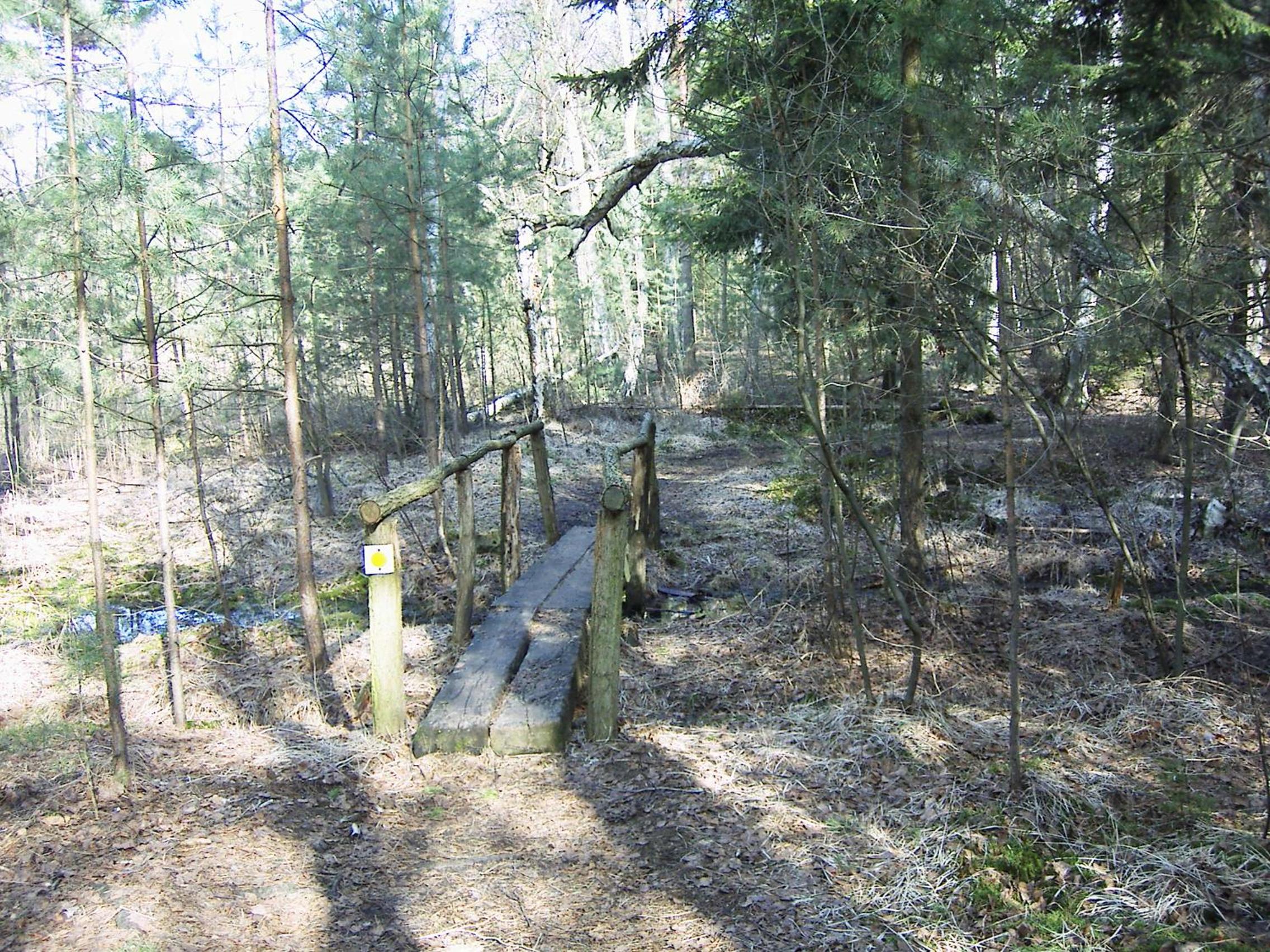 Photo 34