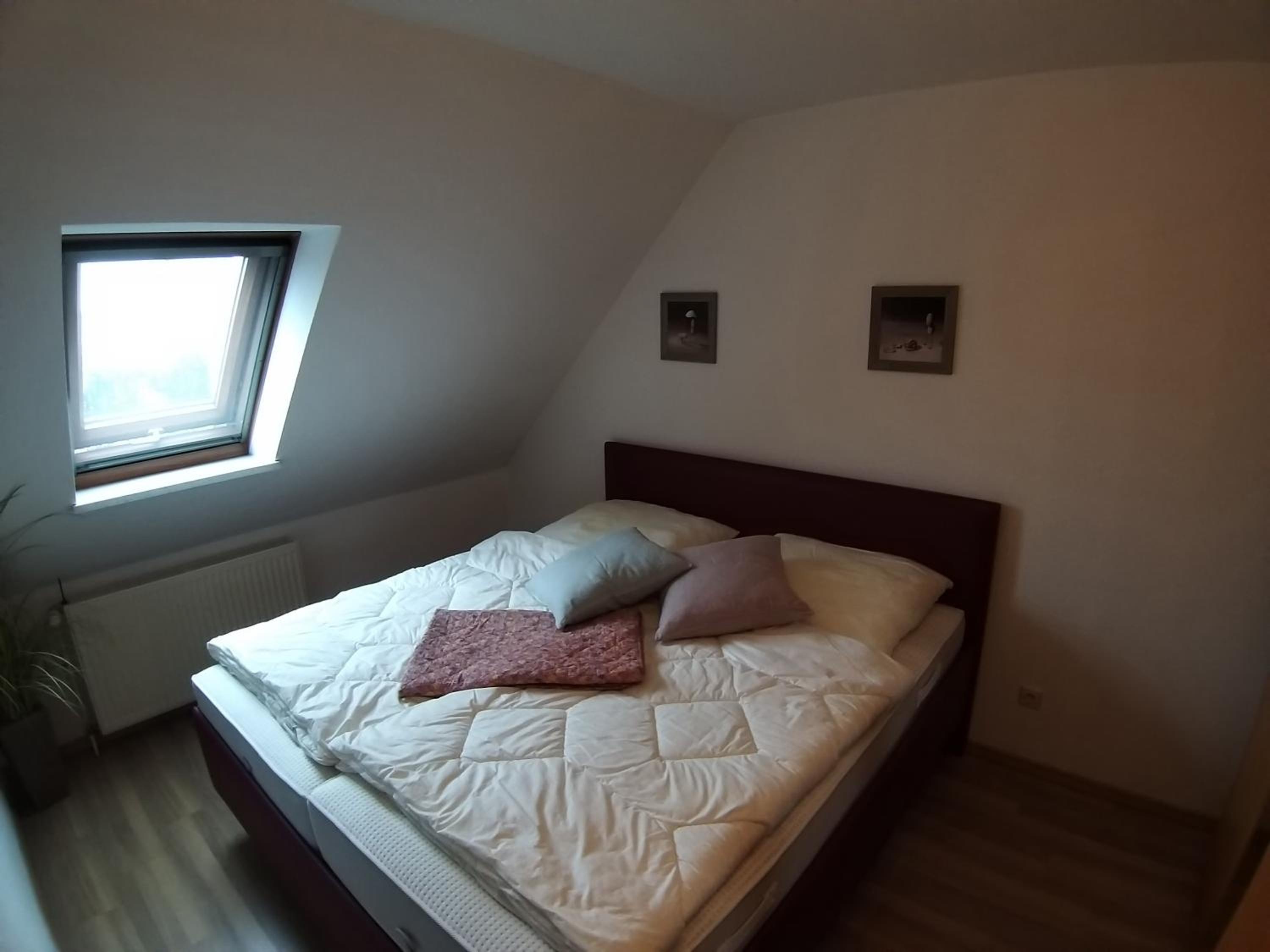 Haus Willi
