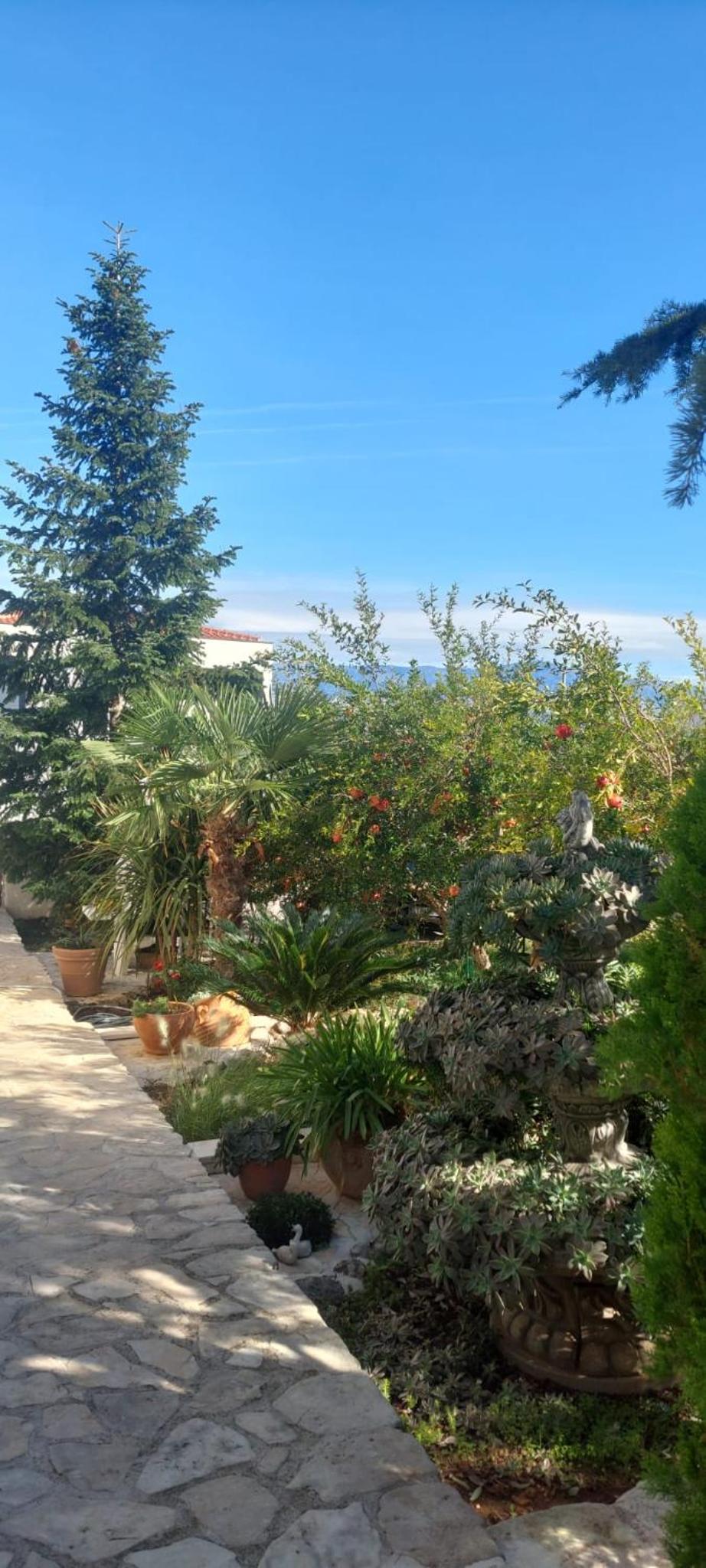 Apartment Maria view 4