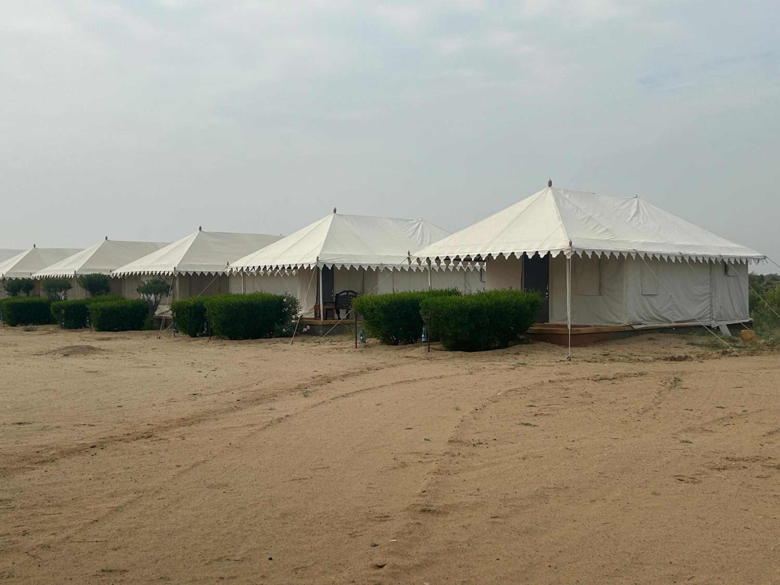 Sunny Desert Camp view 3