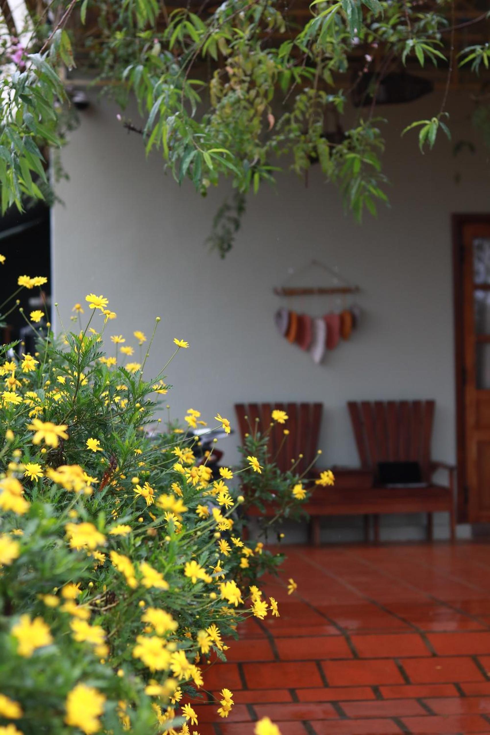 YLang Home Măng Đen