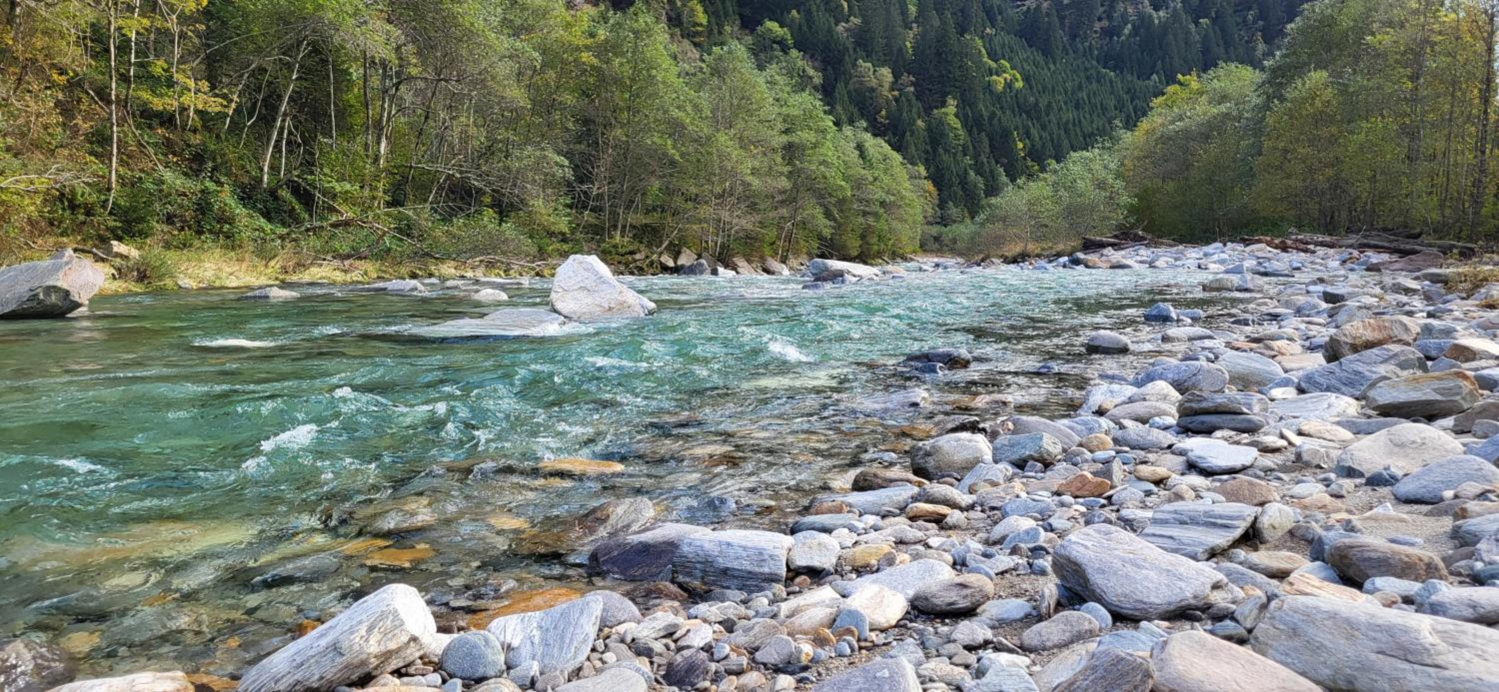 Splendido attico per chi ama escursioni nella natura
