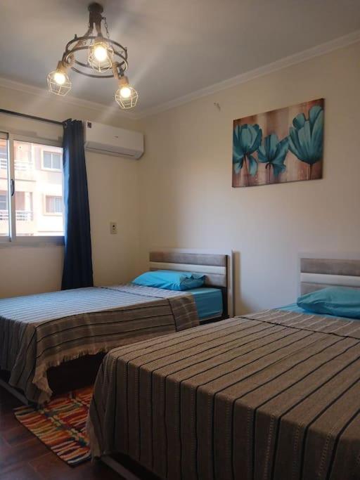 Madinaty New 3 Bedroom Apartment