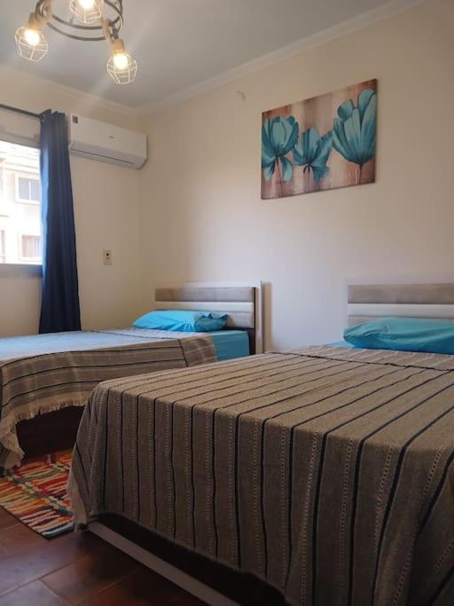 Madinaty New 3 Bedroom Apartment