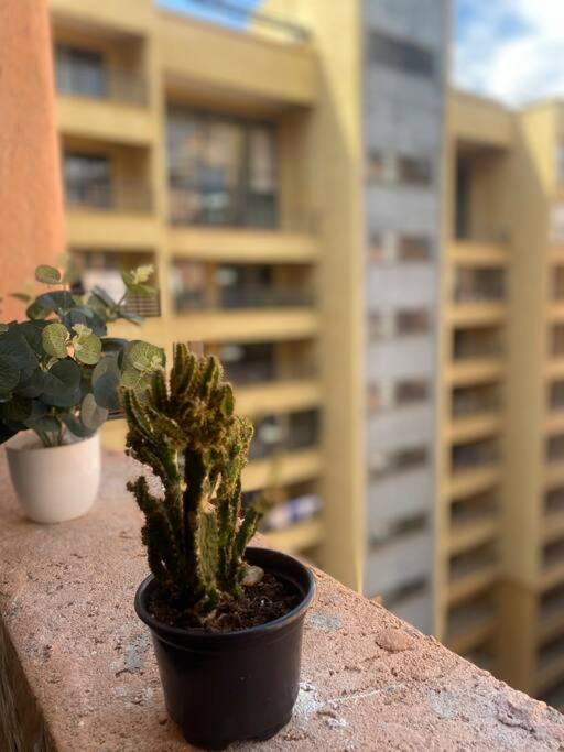 Modern cozy 2 bedroom in Kileleshwa, with a gym, 3 mins to Arboretum - Whatsp O7974I77OO view 3