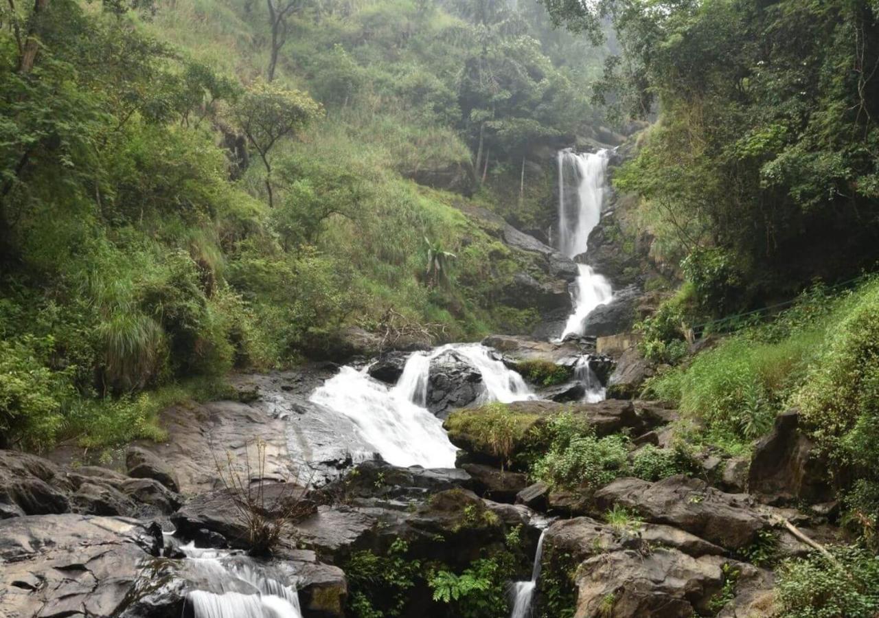 Kuruva Castle Cottages - Experience Nature & Wildlife