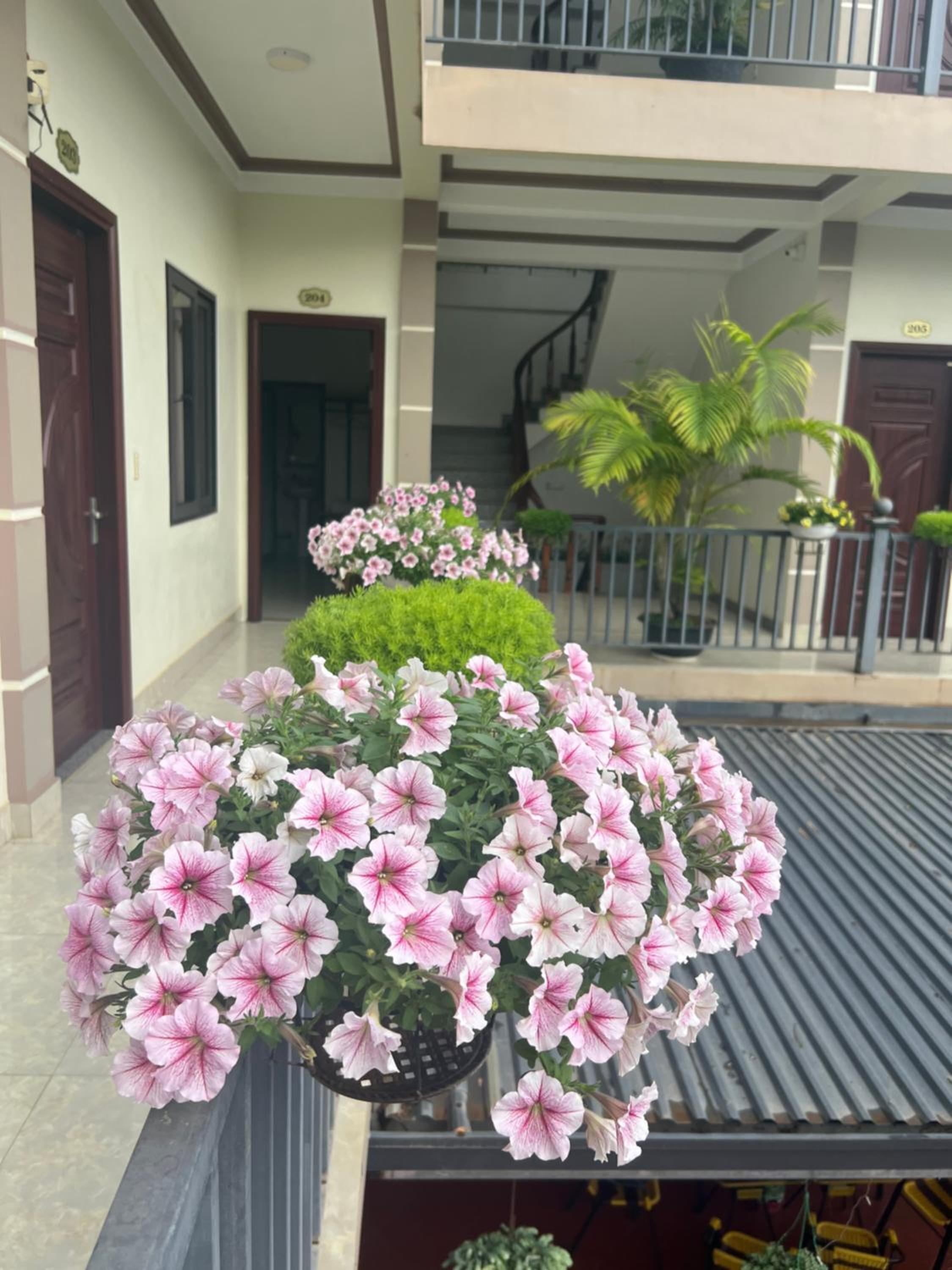 Nhà Nghỉ Ngọc Long view 5