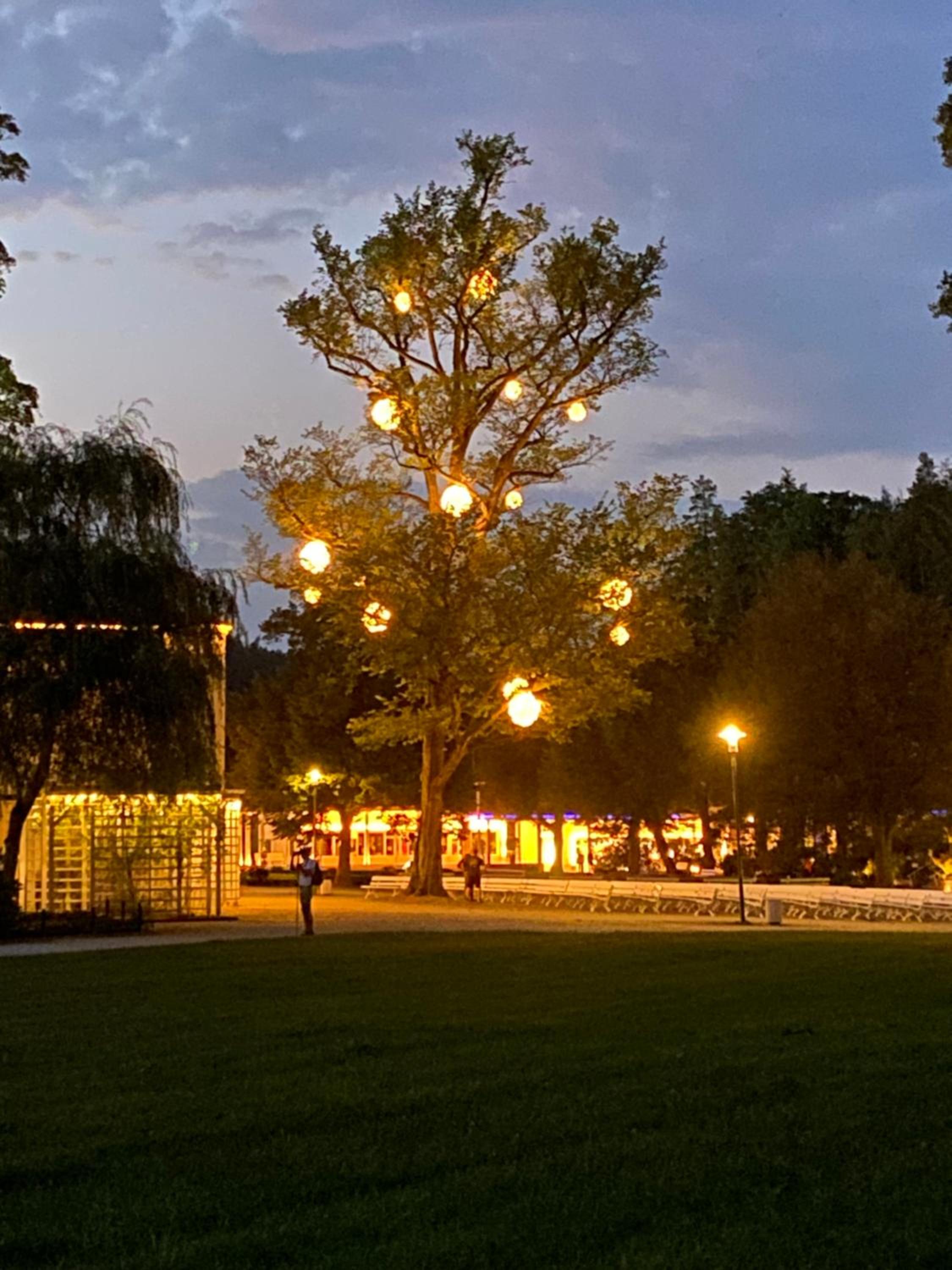FeWo Roland Ranft direkt am Kurpark Barrierearm 60qm