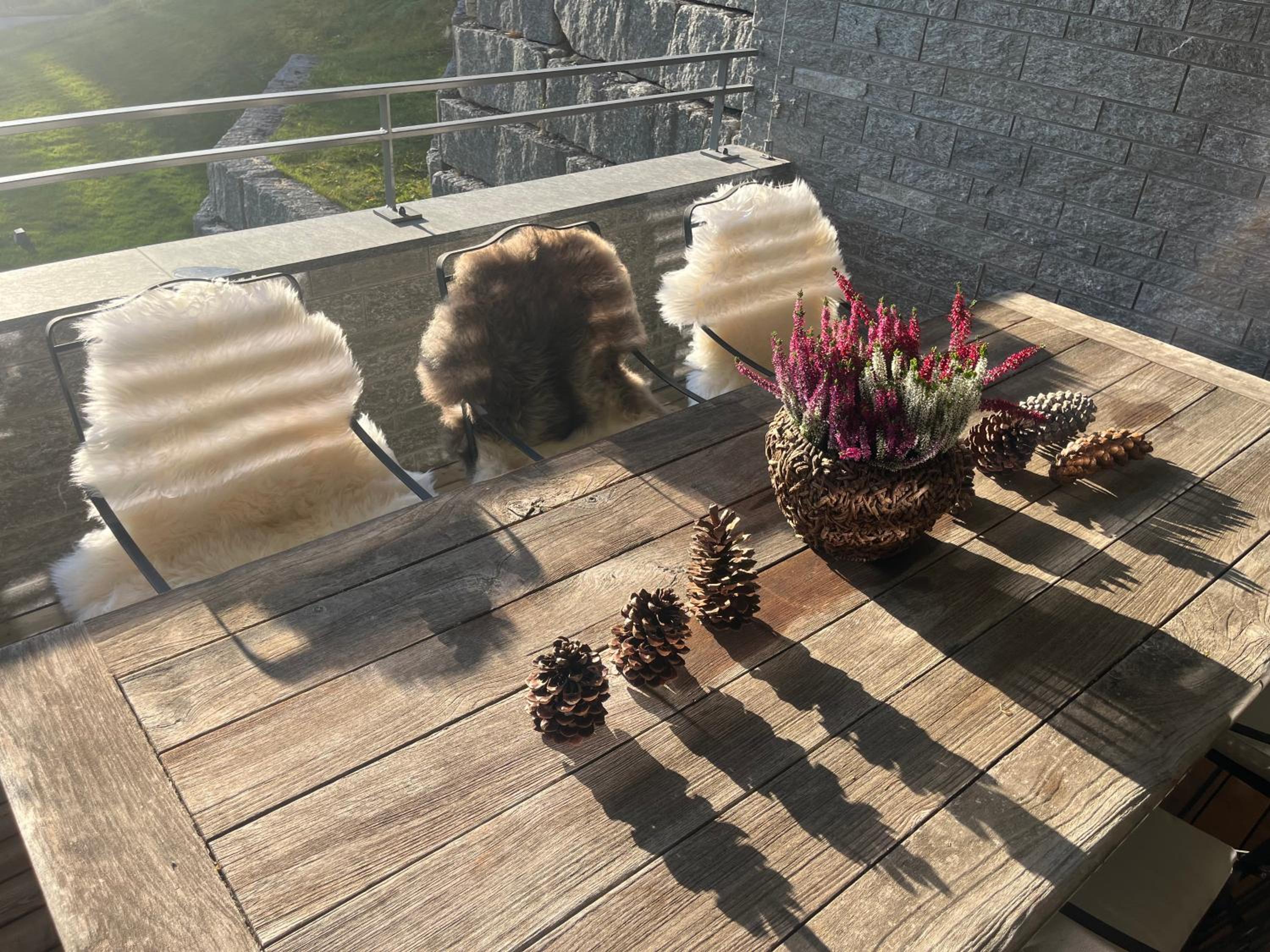Alpine Luxury Apartment Davos with Spa Access to 5 Star Hotel