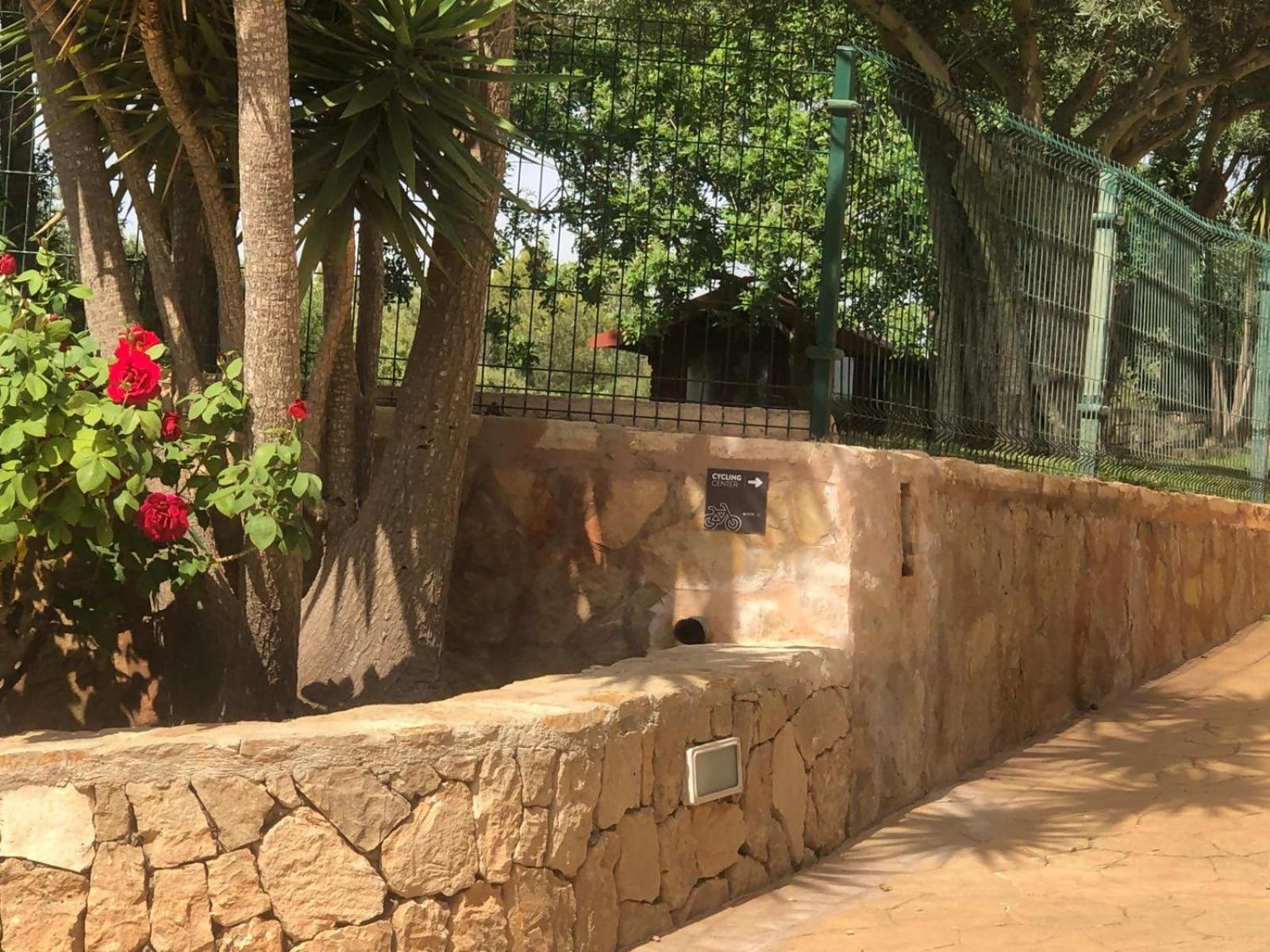 Finca Puig des Call 