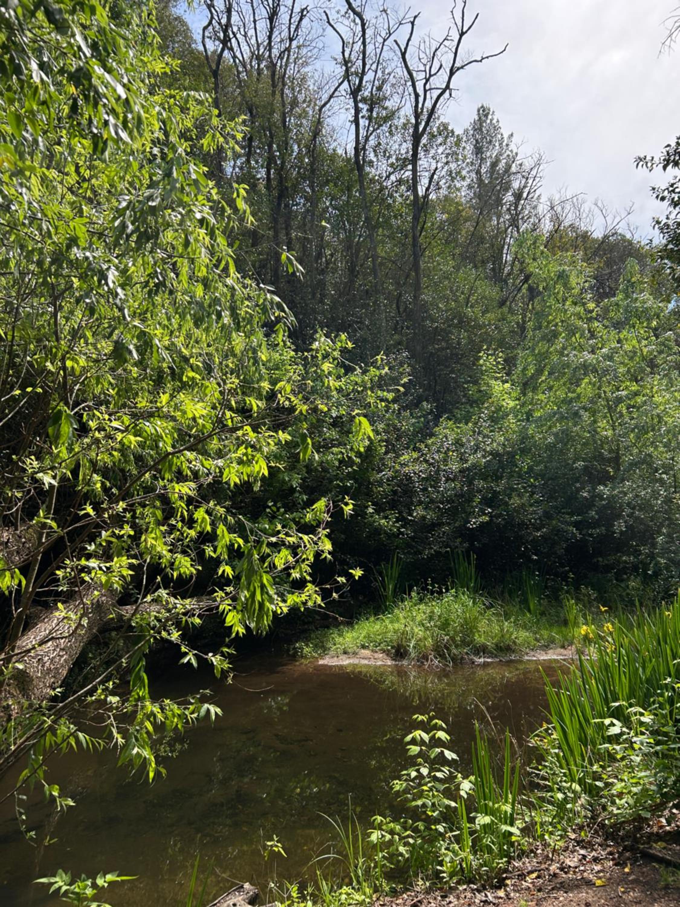 Bon Accord