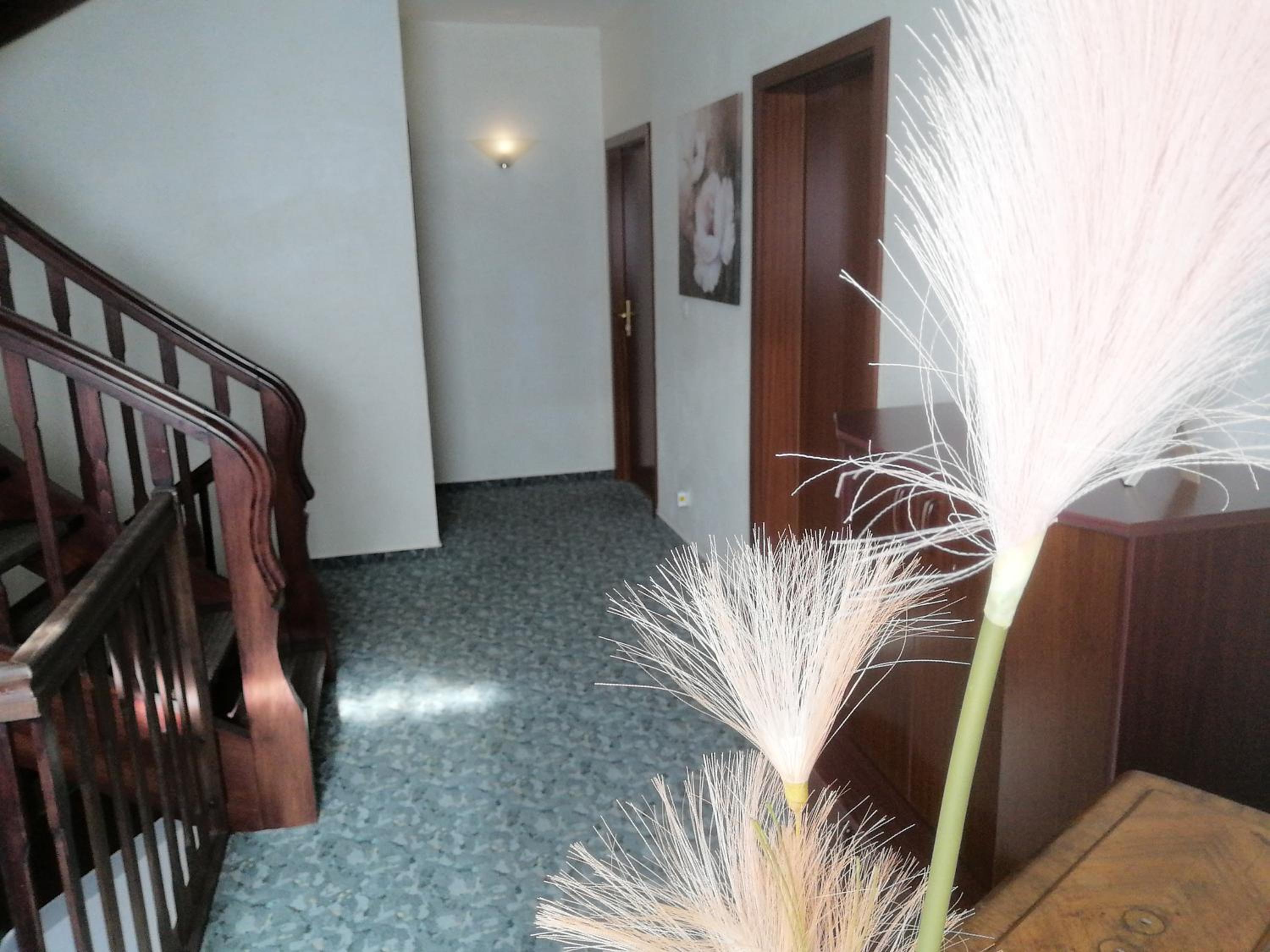 Domstadt Apartments