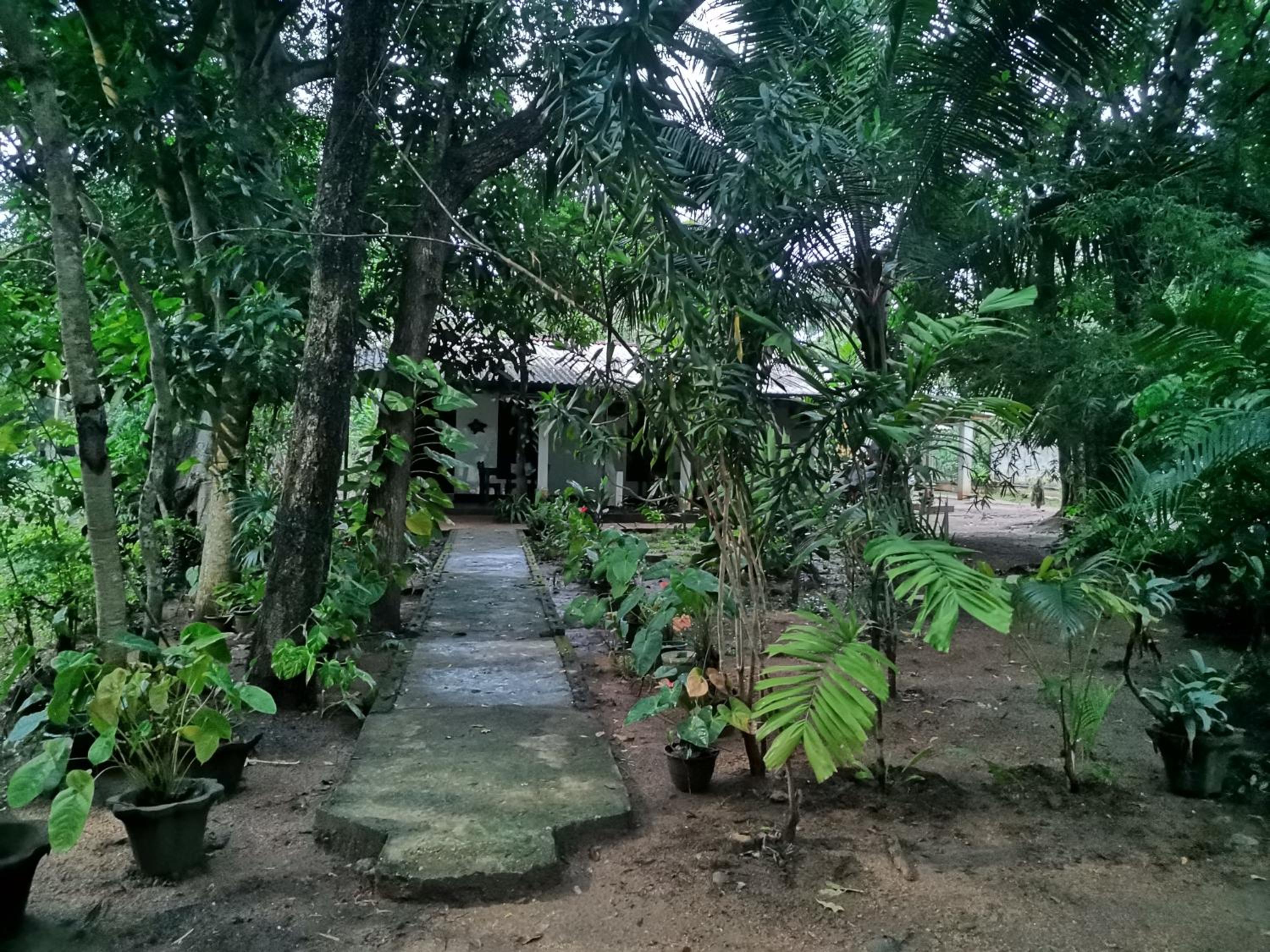 Photo 15