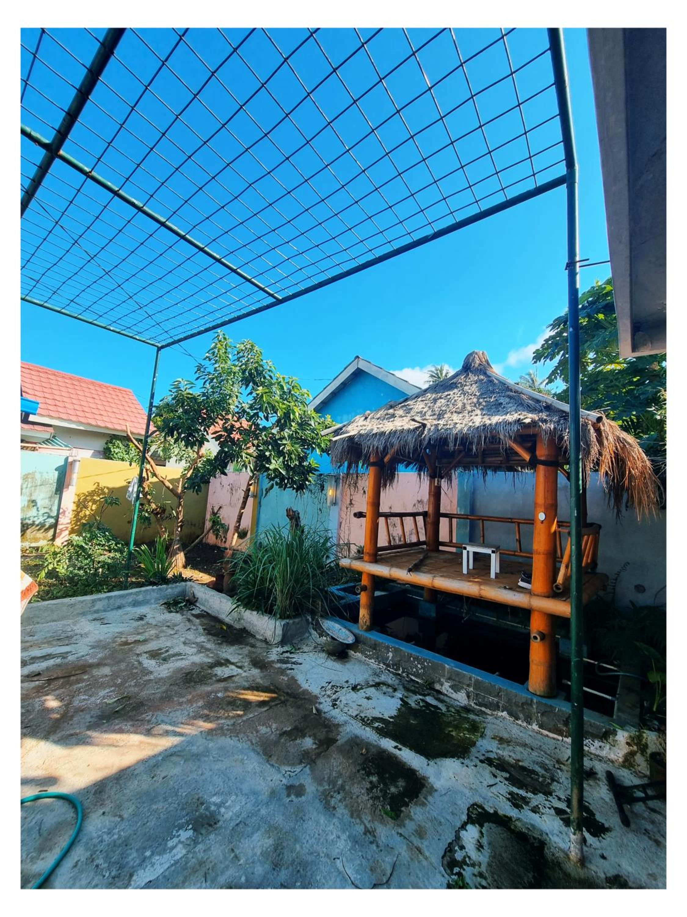 Beta's House view 2