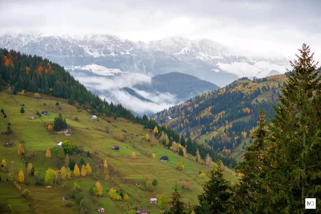 Pensiunea Hanul Dorului view 4