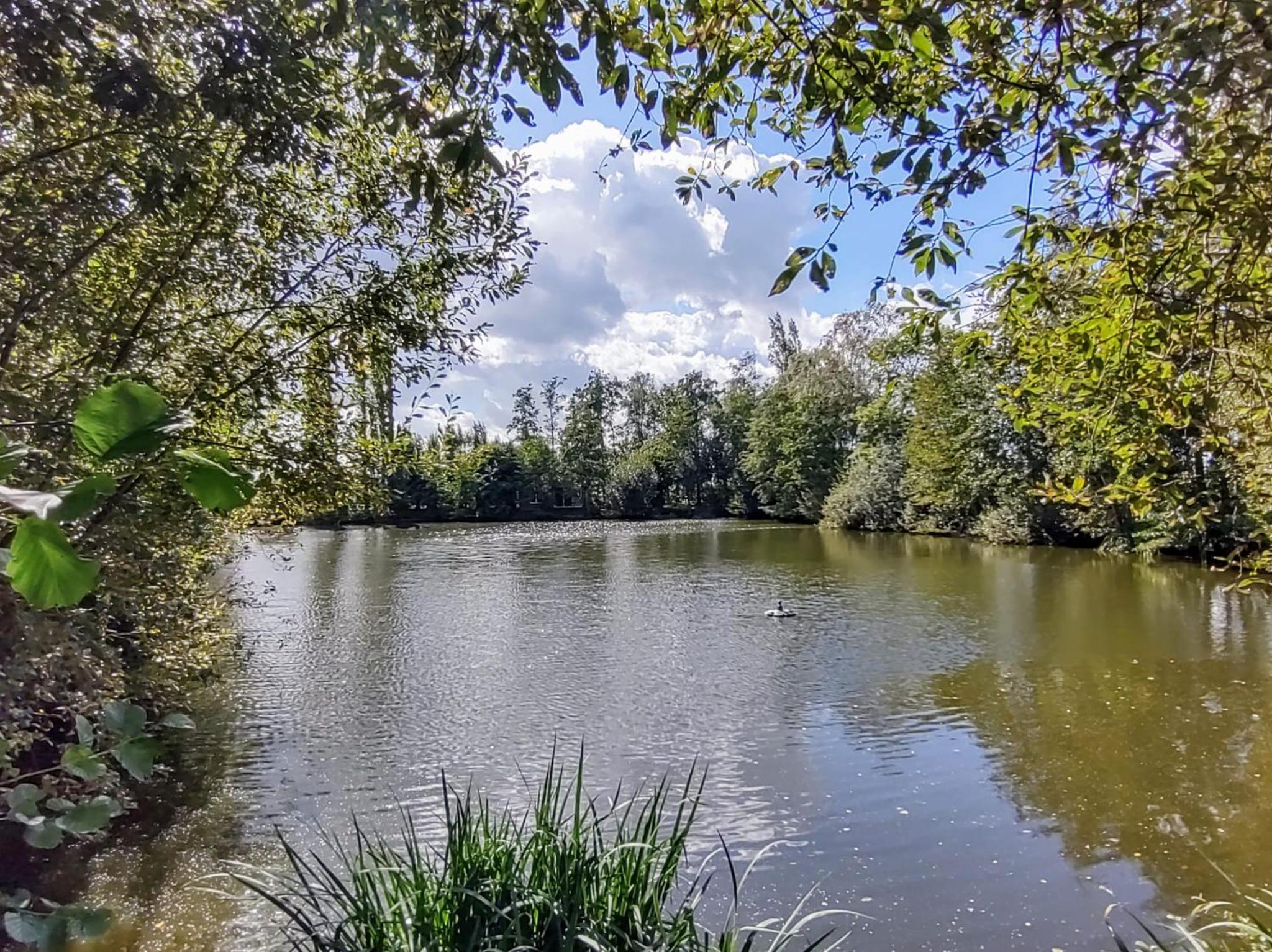Huisje aan het water