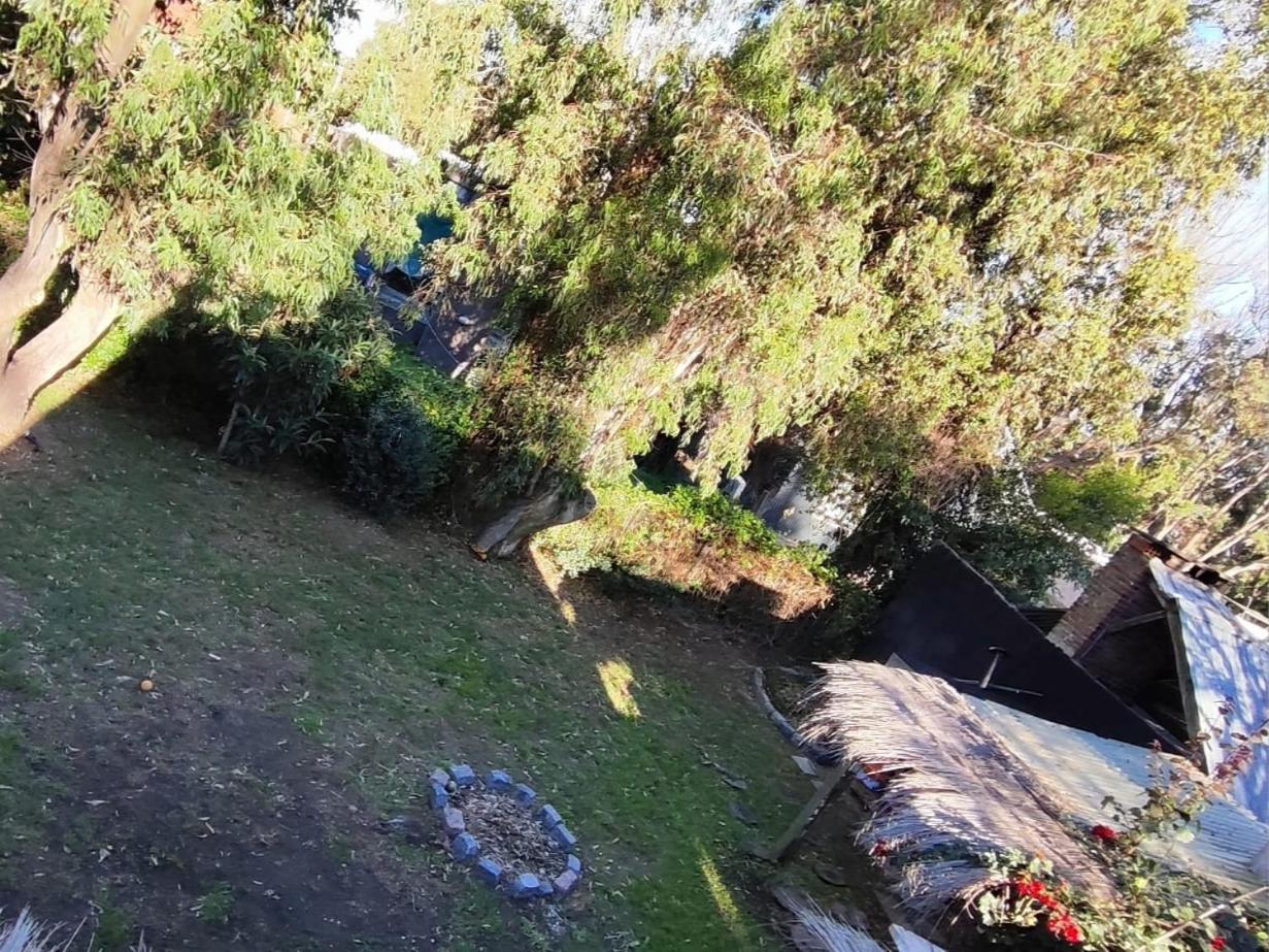Bosque del Este view 4