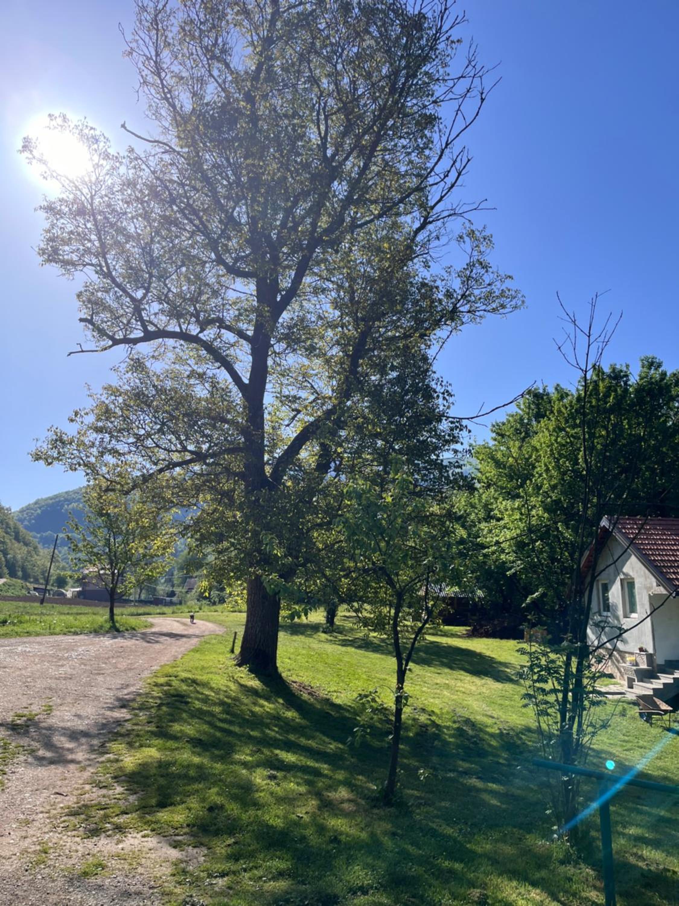 Apartmani Kod Mikija