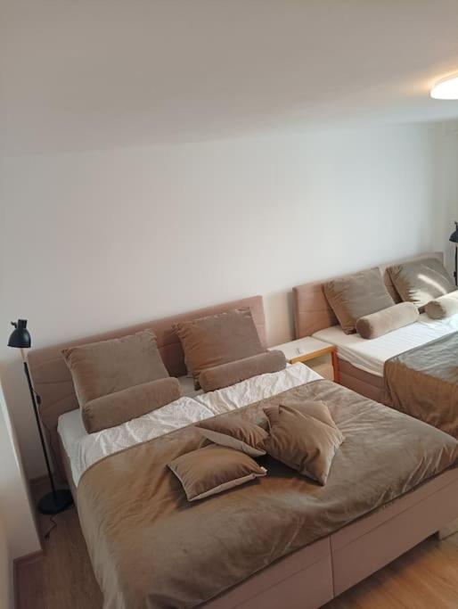 Apartmán Letohrad