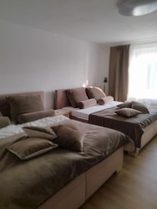 Apartmán Letohrad