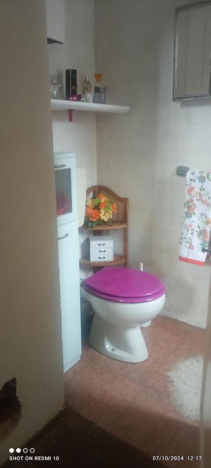 Vicky's House