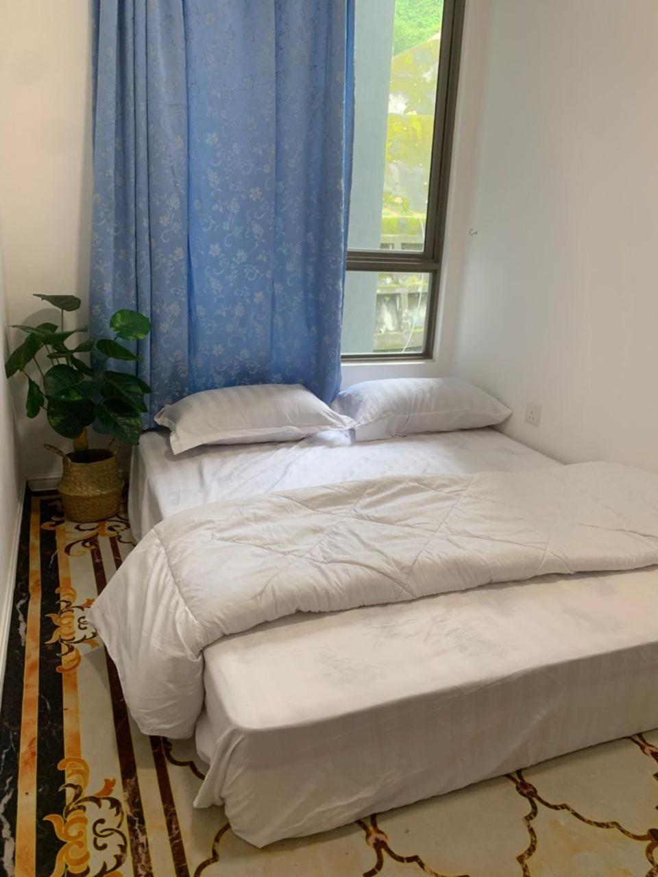 Ereens homestay 3 bedroom apartment photo 4