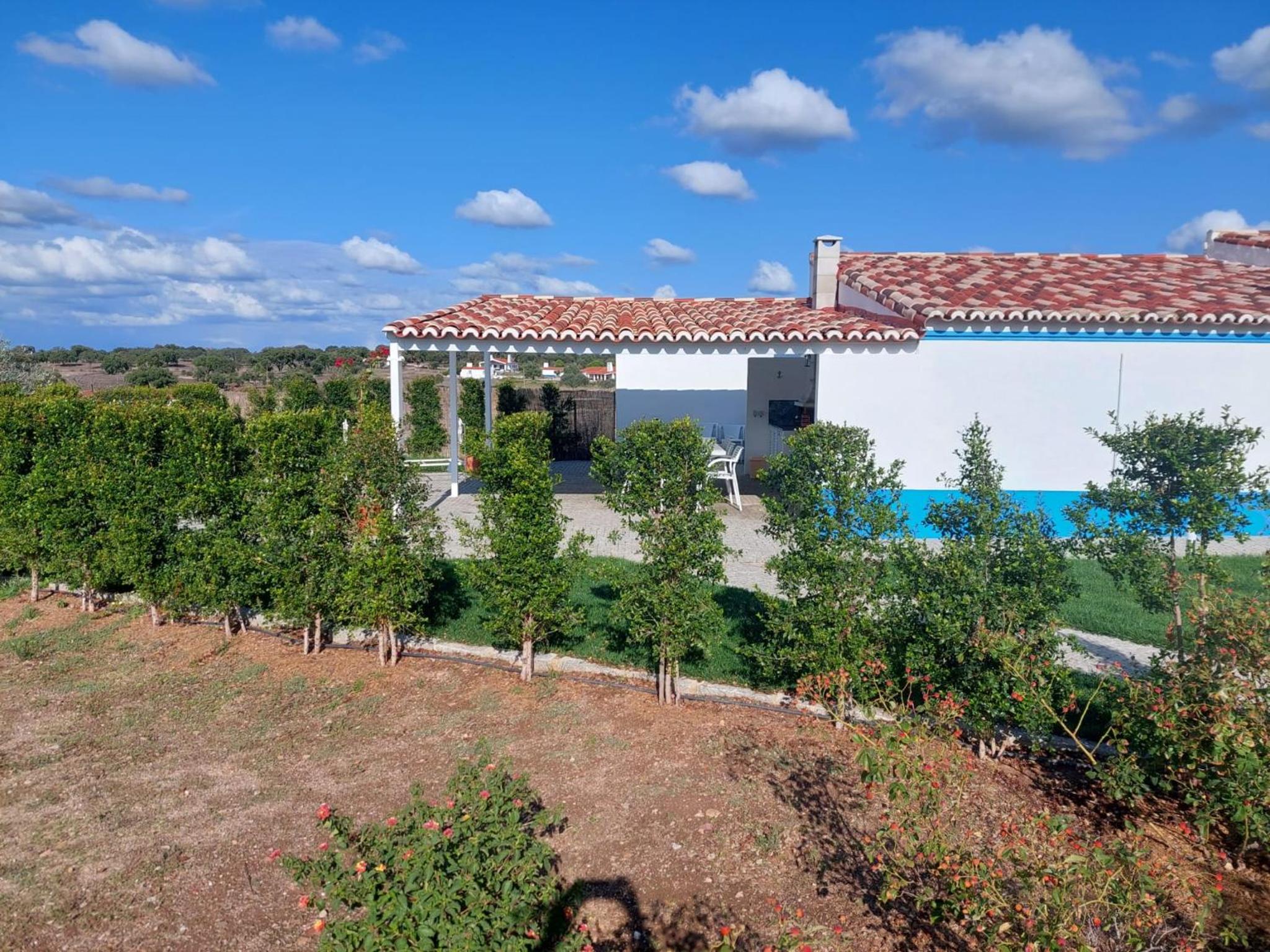 Photo 26