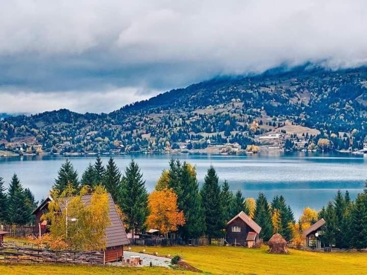 Căbănuța Busuioc Colibita view 2