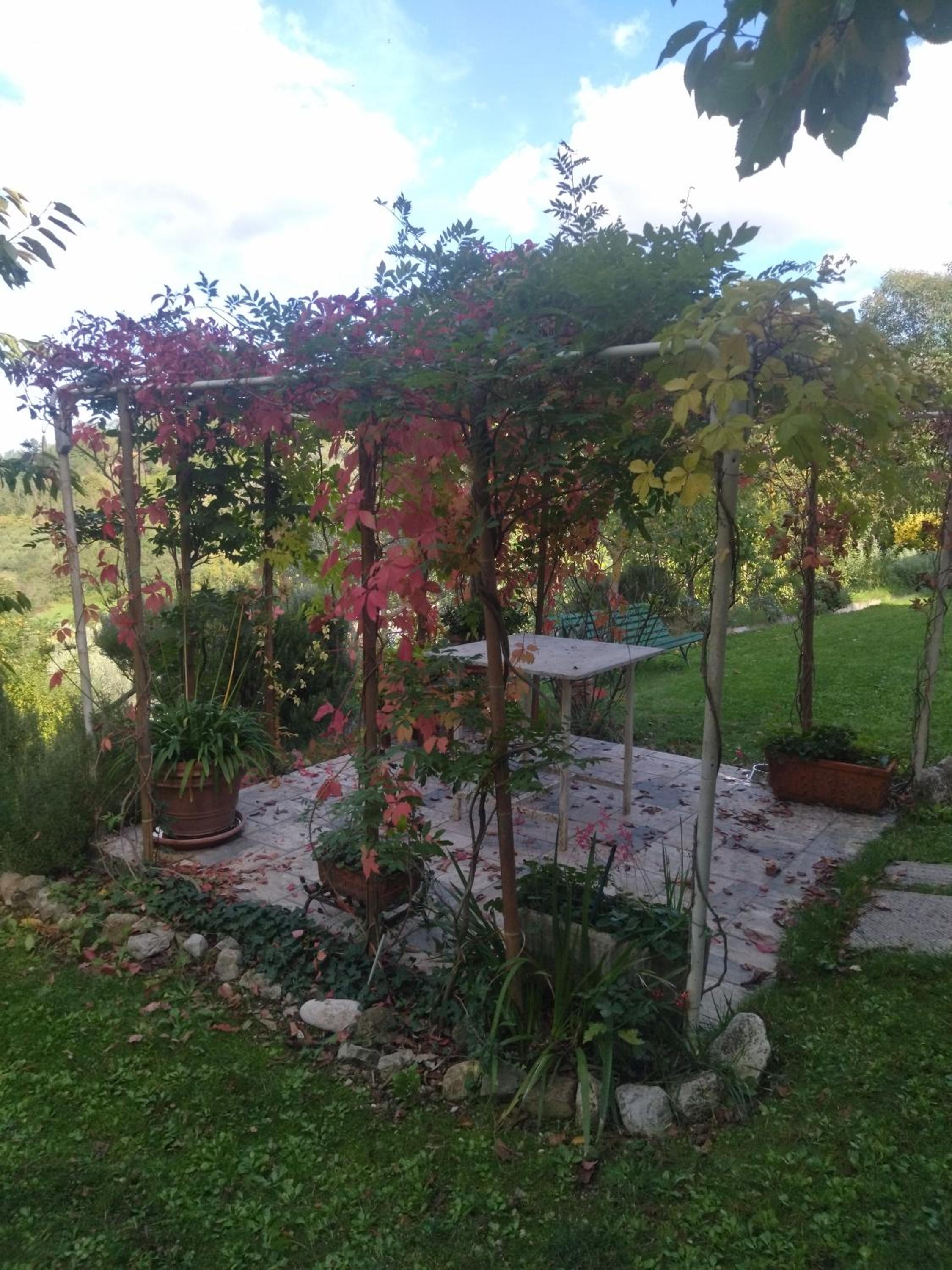Photo 29