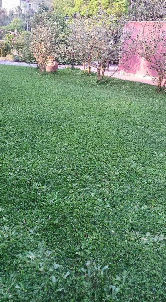 Photo 35