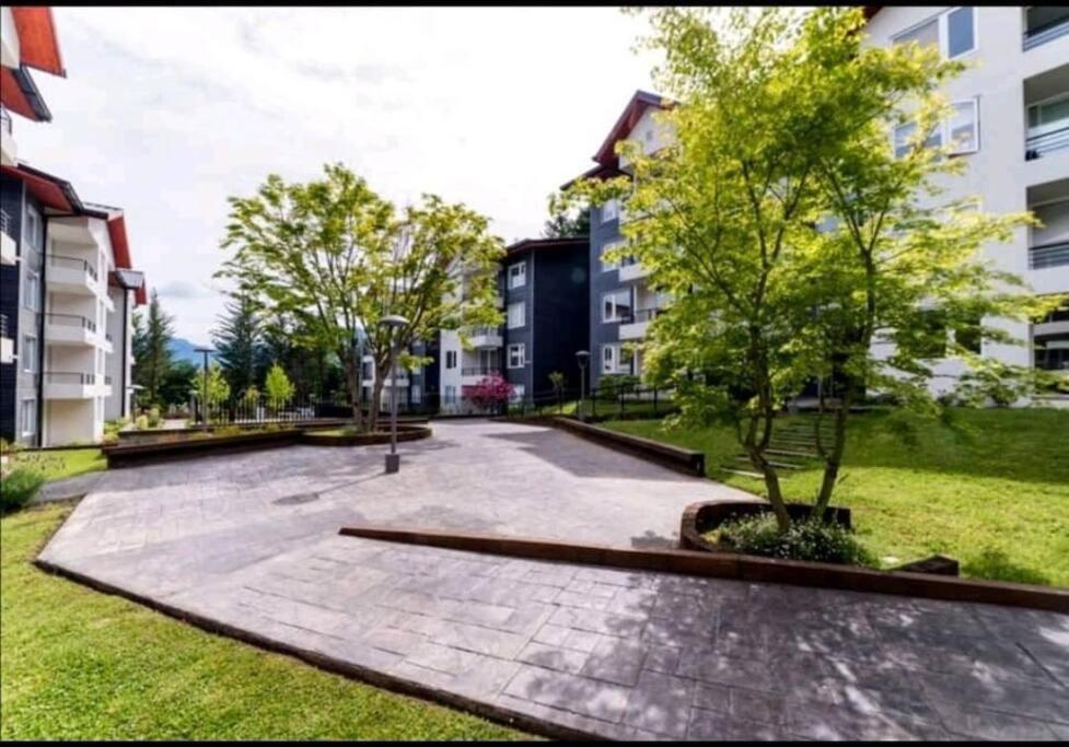 Robles del Volcán Pucon