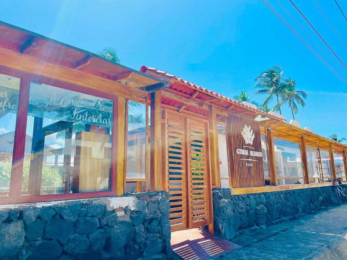 Hotel Coral Blanco with high speed internet Starlink and Galapagos Tour Operator