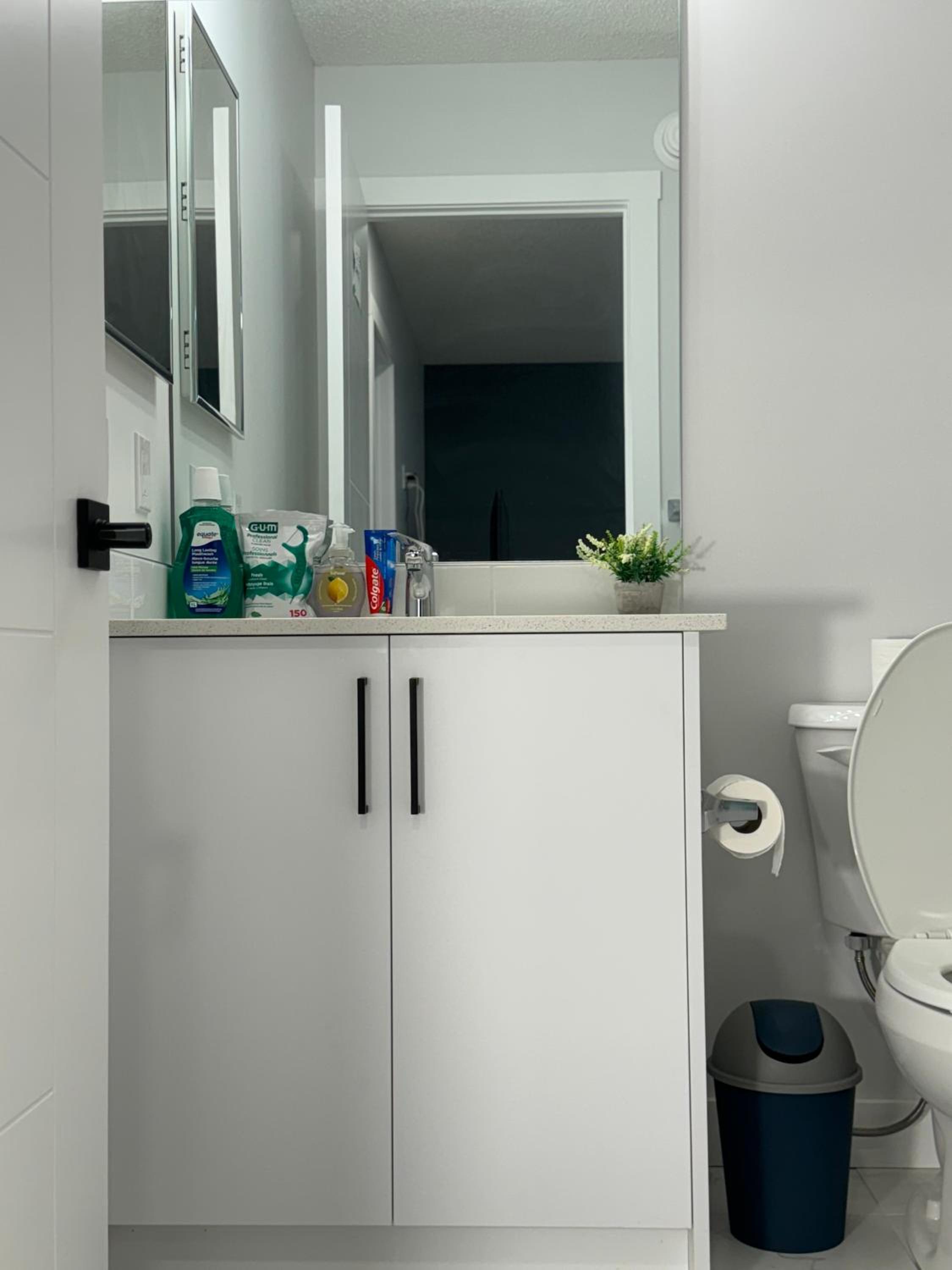 Serene Stay - Private Room and bath with Parking and Wi-Fi