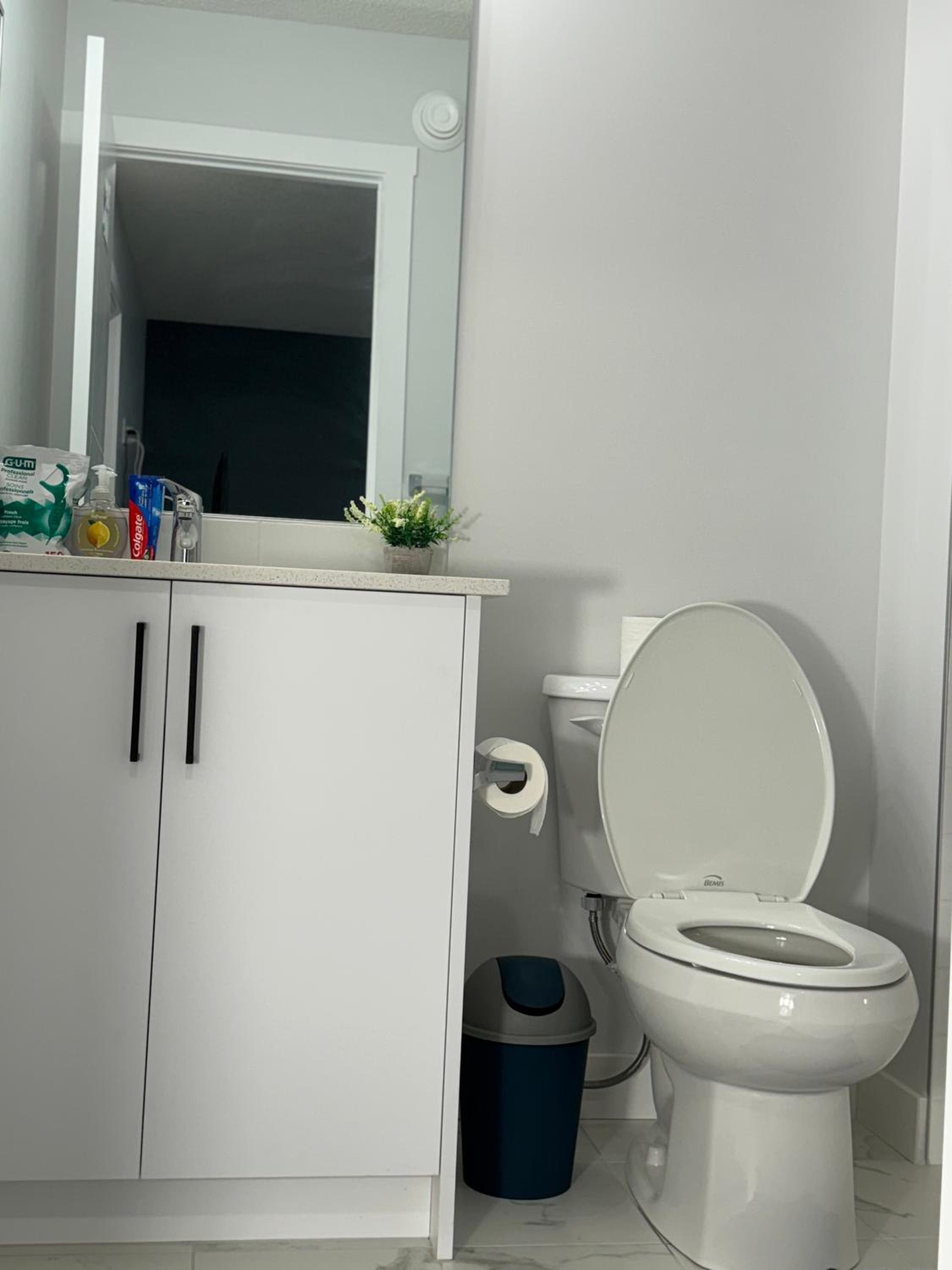 Serene Stay - Private Room and bath with Parking and Wi-Fi