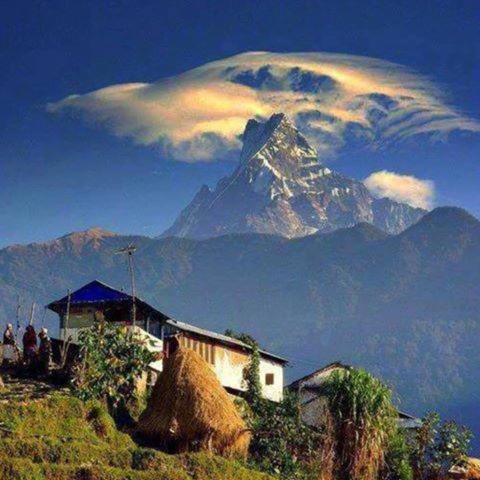Sonam Homestay