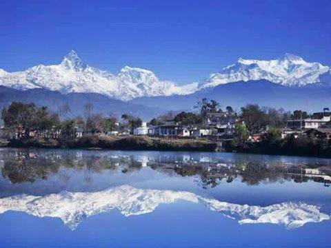 Sonam Homestay
