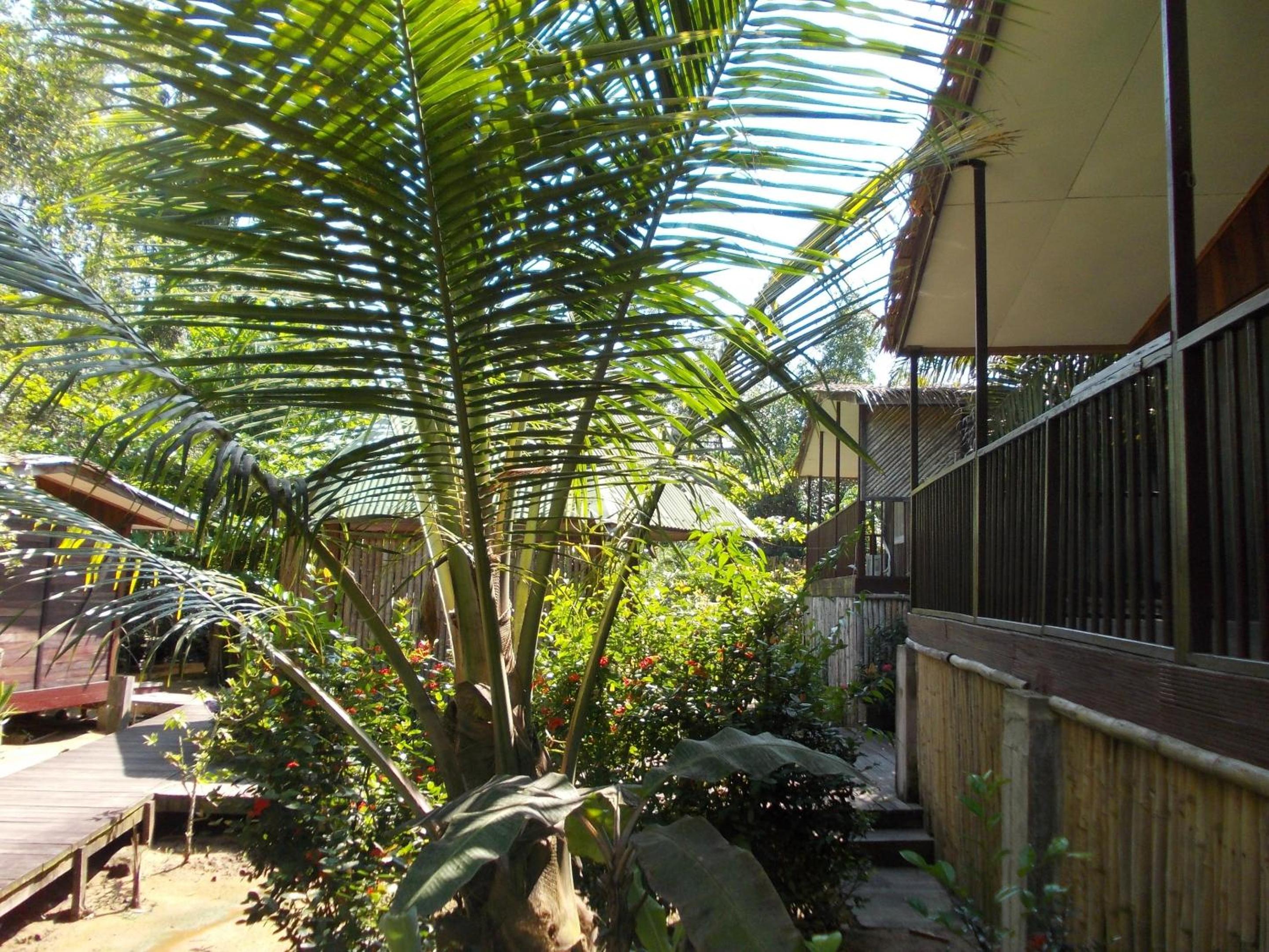 Les Gites de Kribi