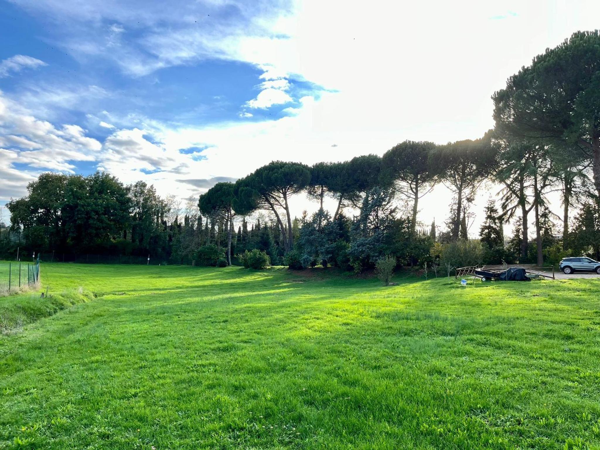 Casale Collecchio Siena photo 5
