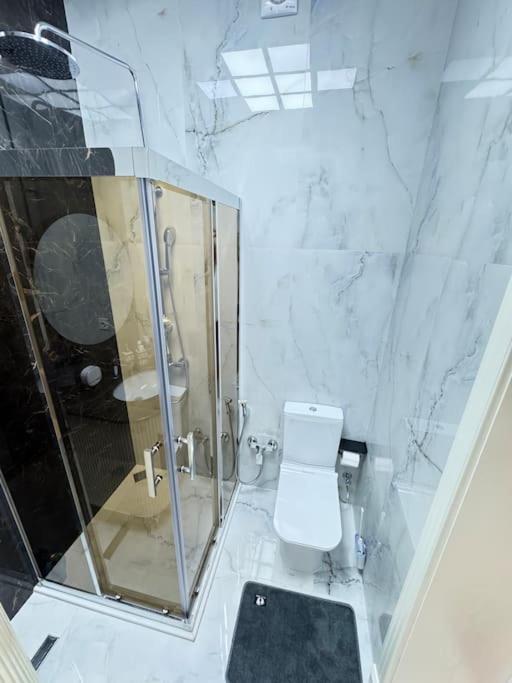 Luxury Apartment In Downtown
