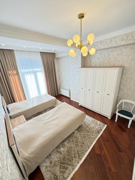 Luxury Apartment In Downtown