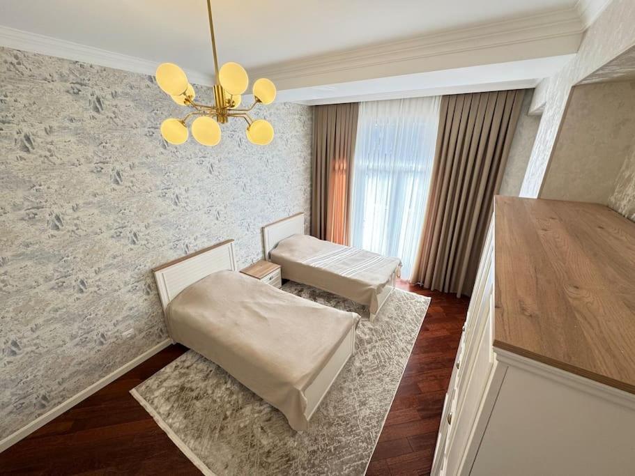Luxury Apartment In Downtown