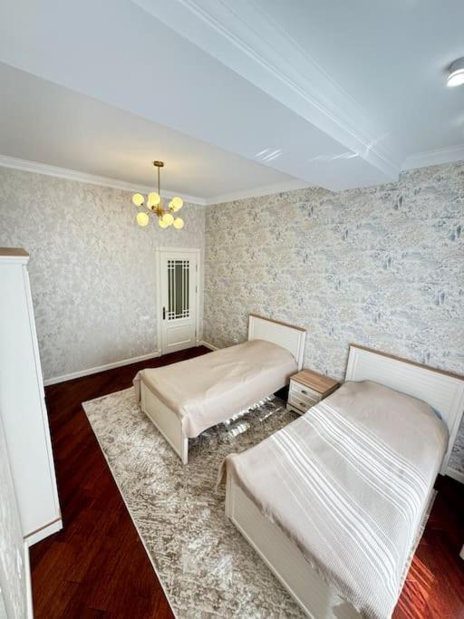 Luxury Apartment In Downtown