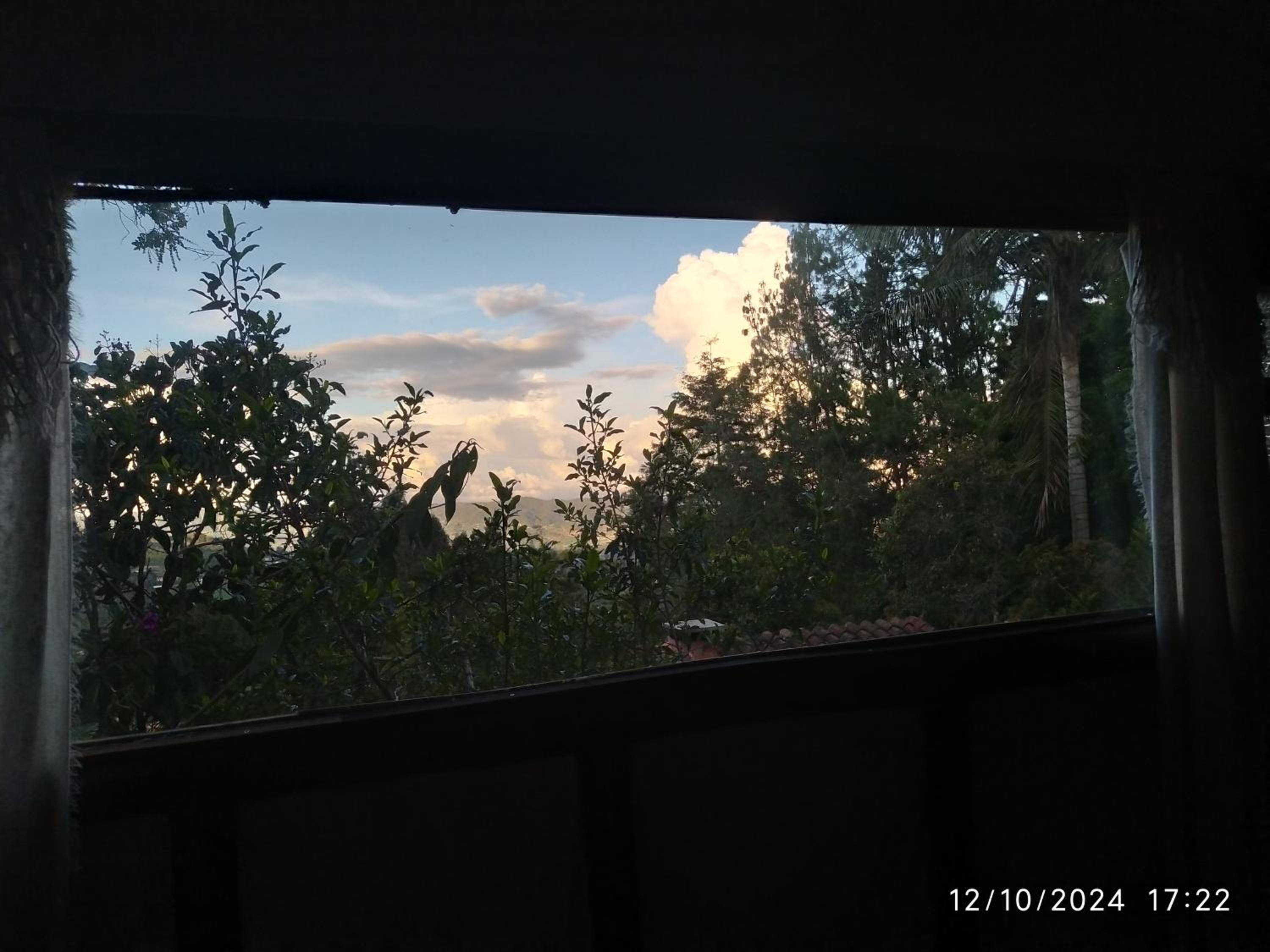 Photo 42