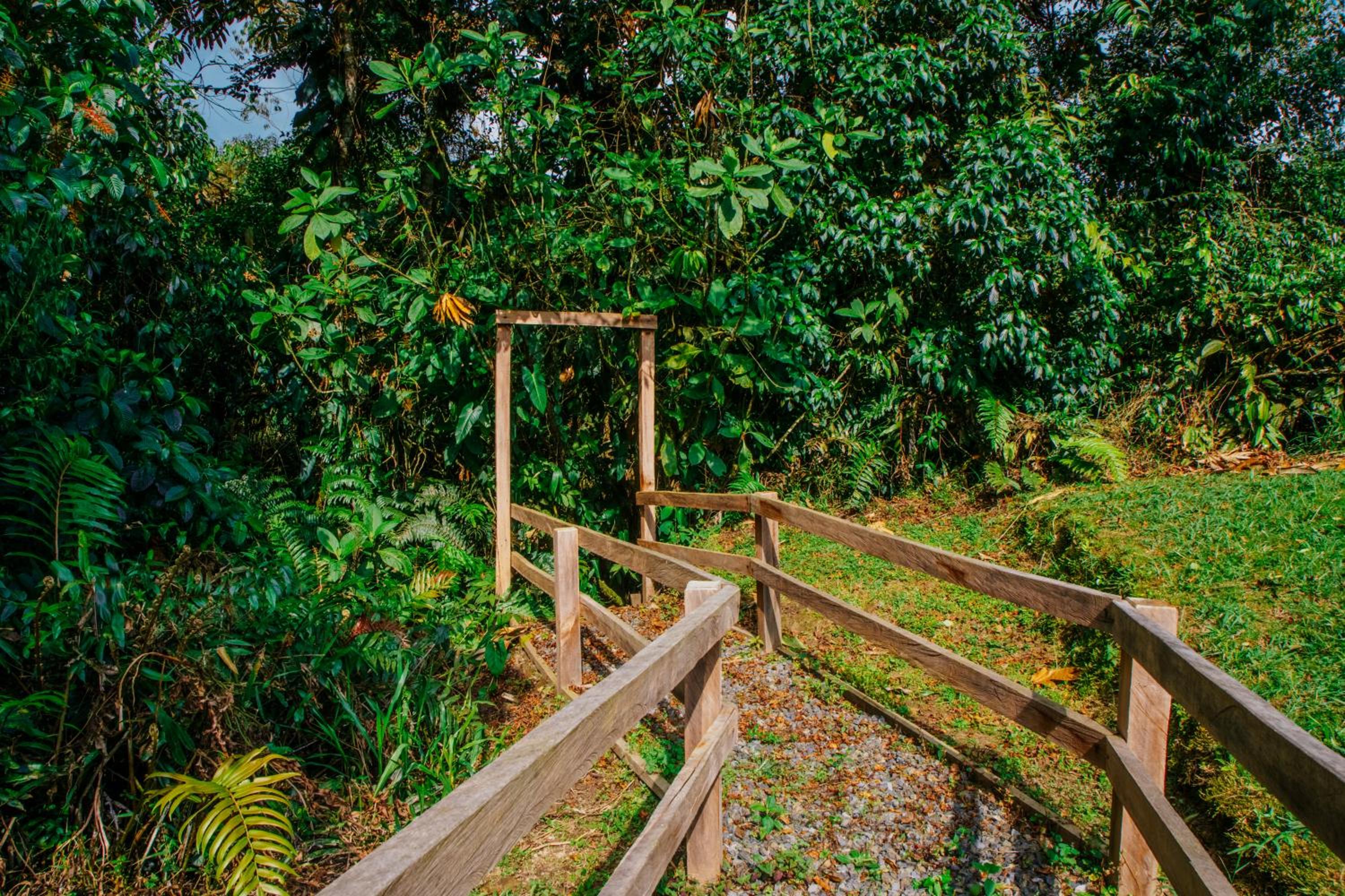 Boskoso Forest Retreat Jacuzzi & Waterfall