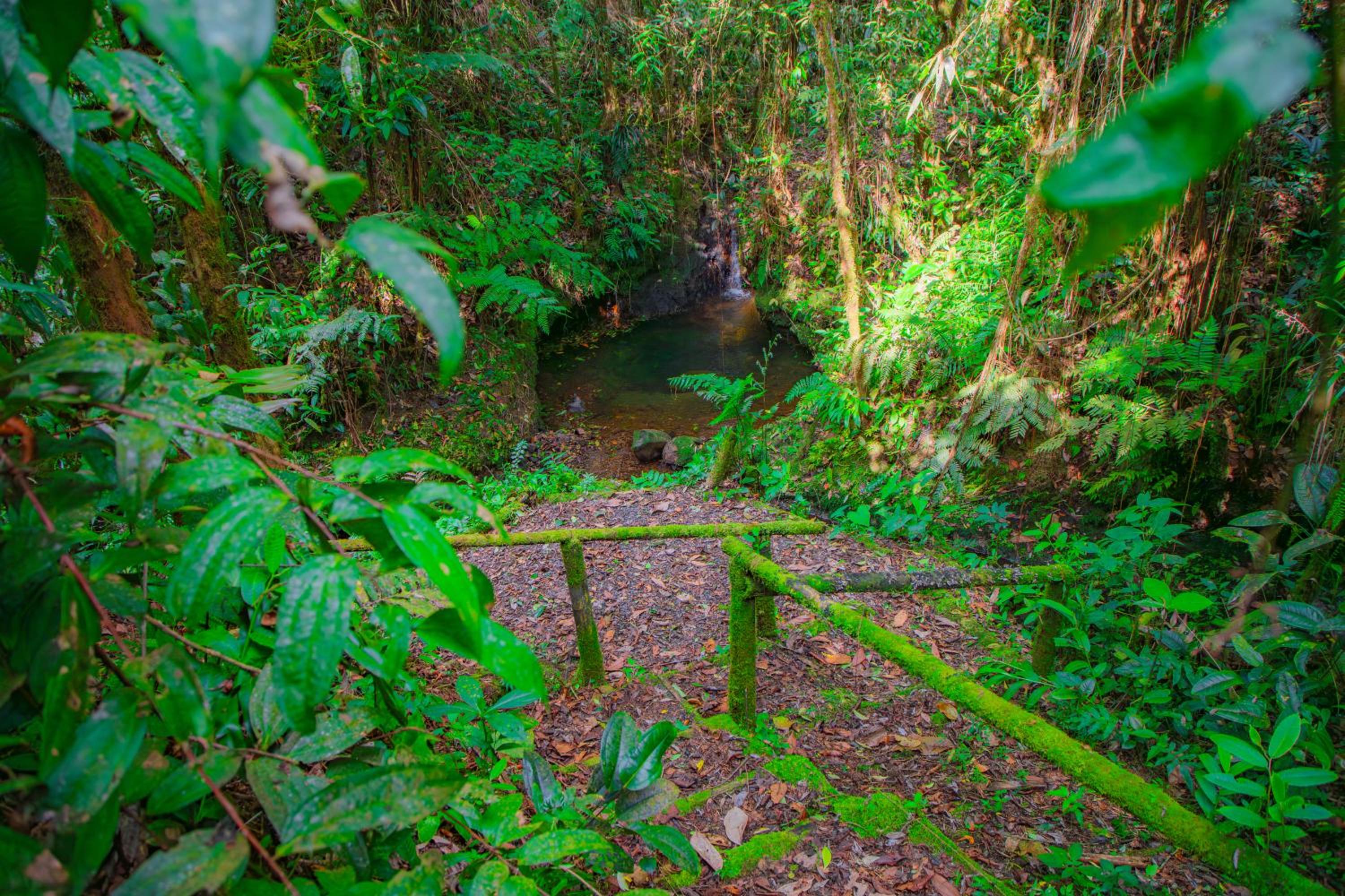 Boskoso Forest Retreat Jacuzzi & Waterfall
