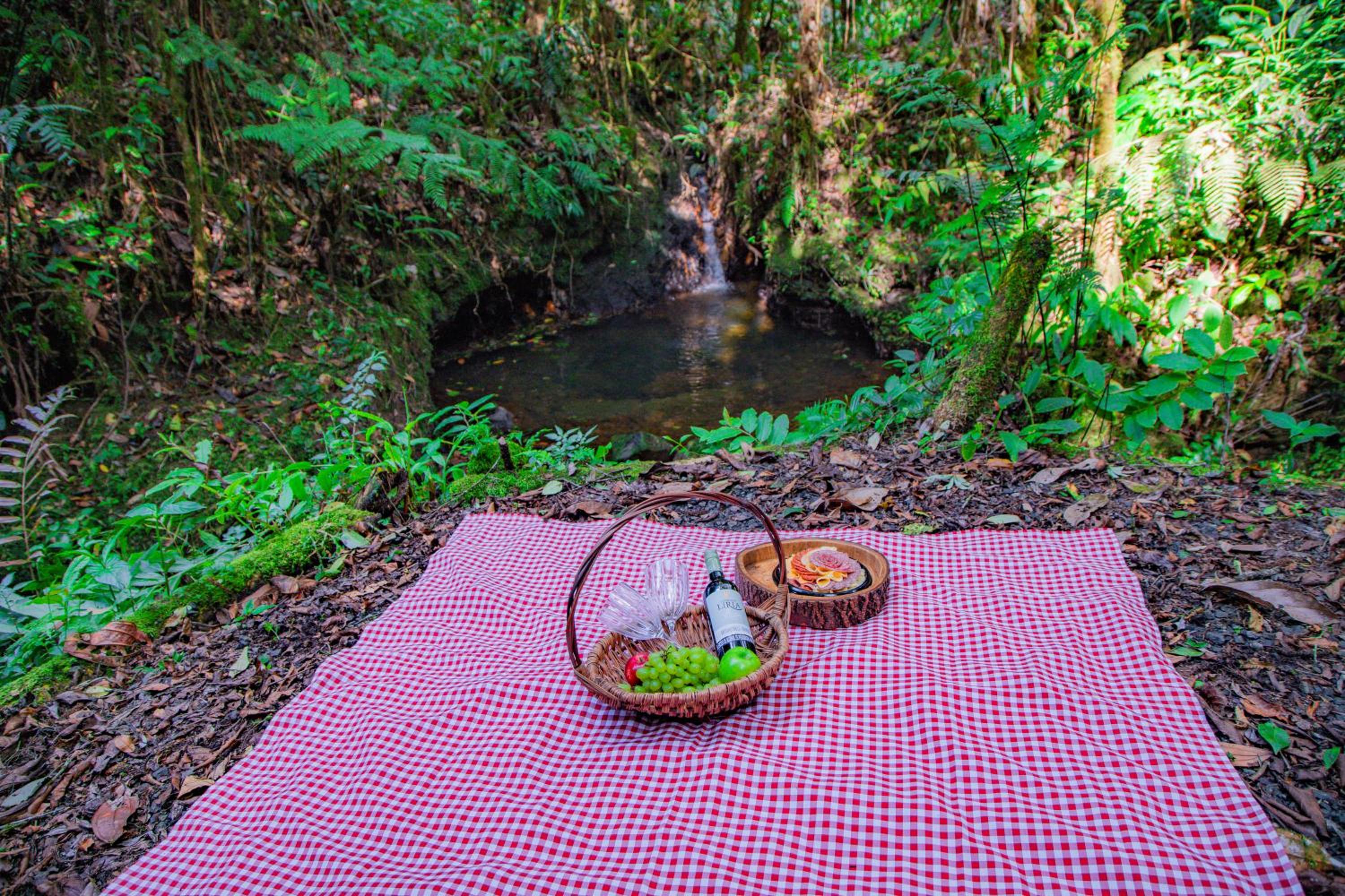 Boskoso Forest Retreat Jacuzzi & Waterfall